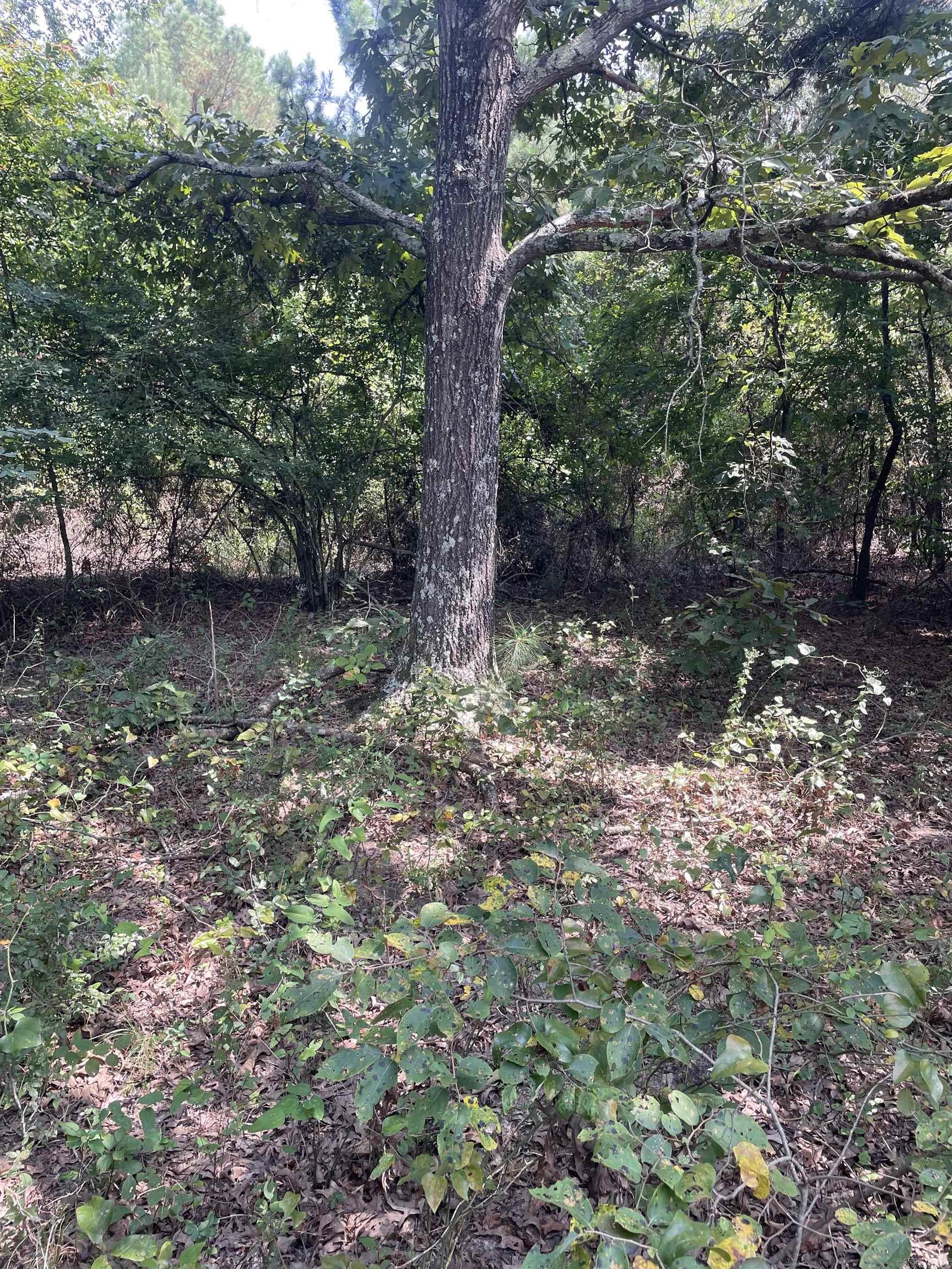 Photo 18 - Vacant Land for sale – 141  Duncan Ln   Poughkeepsie, AR