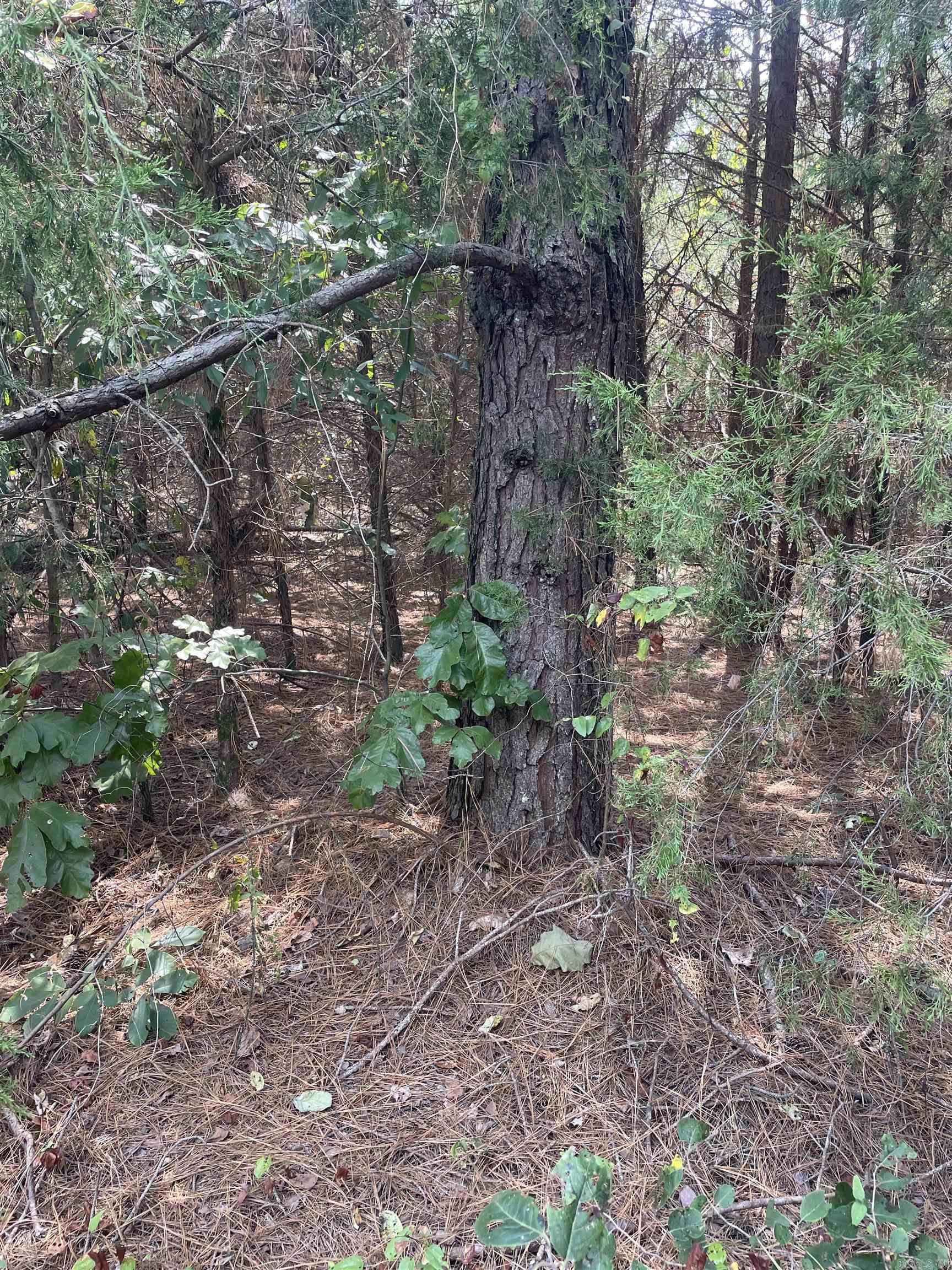 Photo 19 - Vacant Land for sale – 141  Duncan Ln   Poughkeepsie, AR