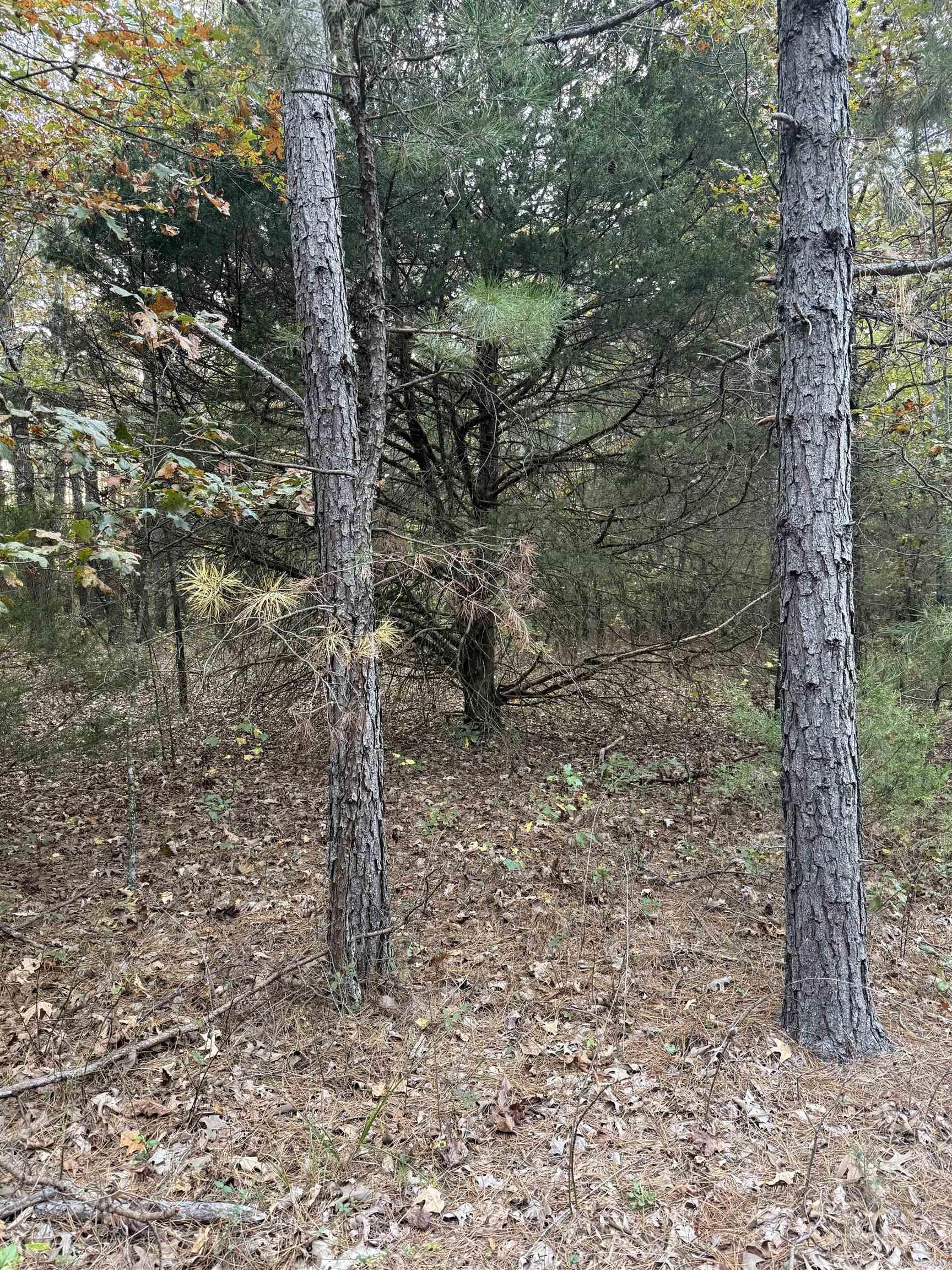 Photo 5 - Vacant Land for sale – 141  Duncan Ln   Poughkeepsie, AR