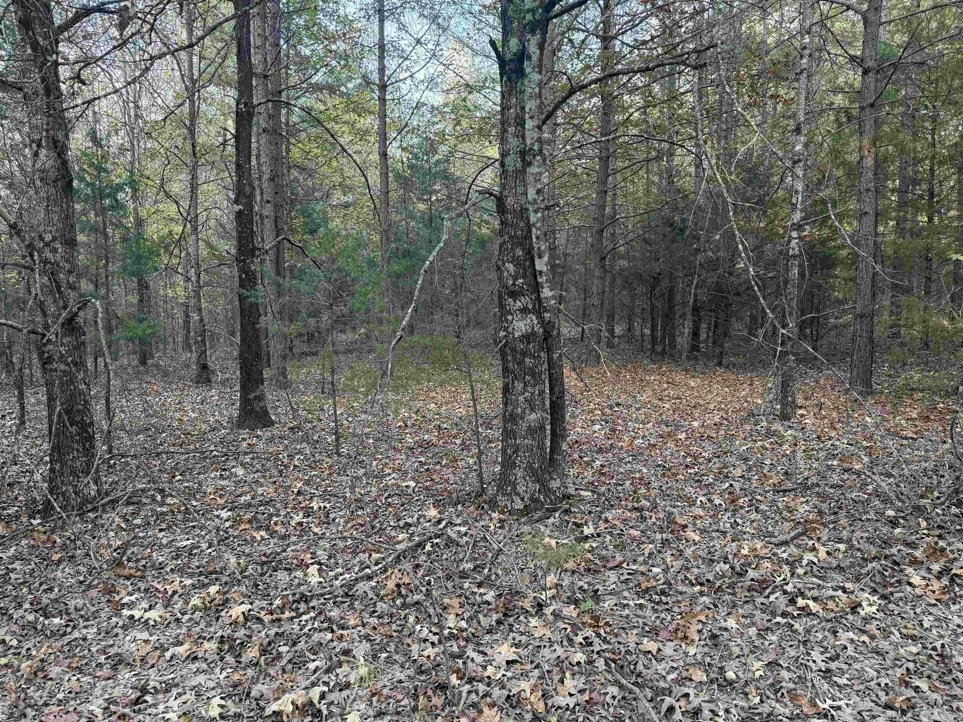 Photo 6 - Vacant Land for sale – 141  Duncan Ln   Poughkeepsie, AR