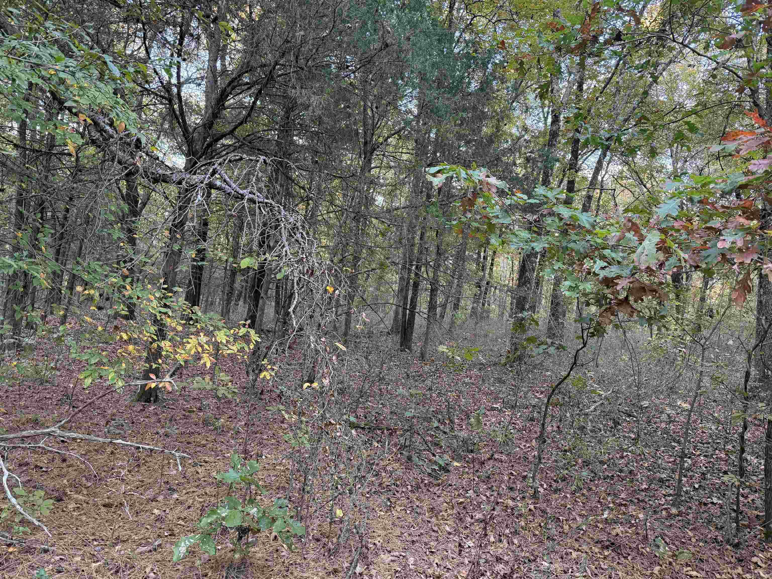 Photo 7 - Vacant Land for sale – 141  Duncan Ln   Poughkeepsie, AR