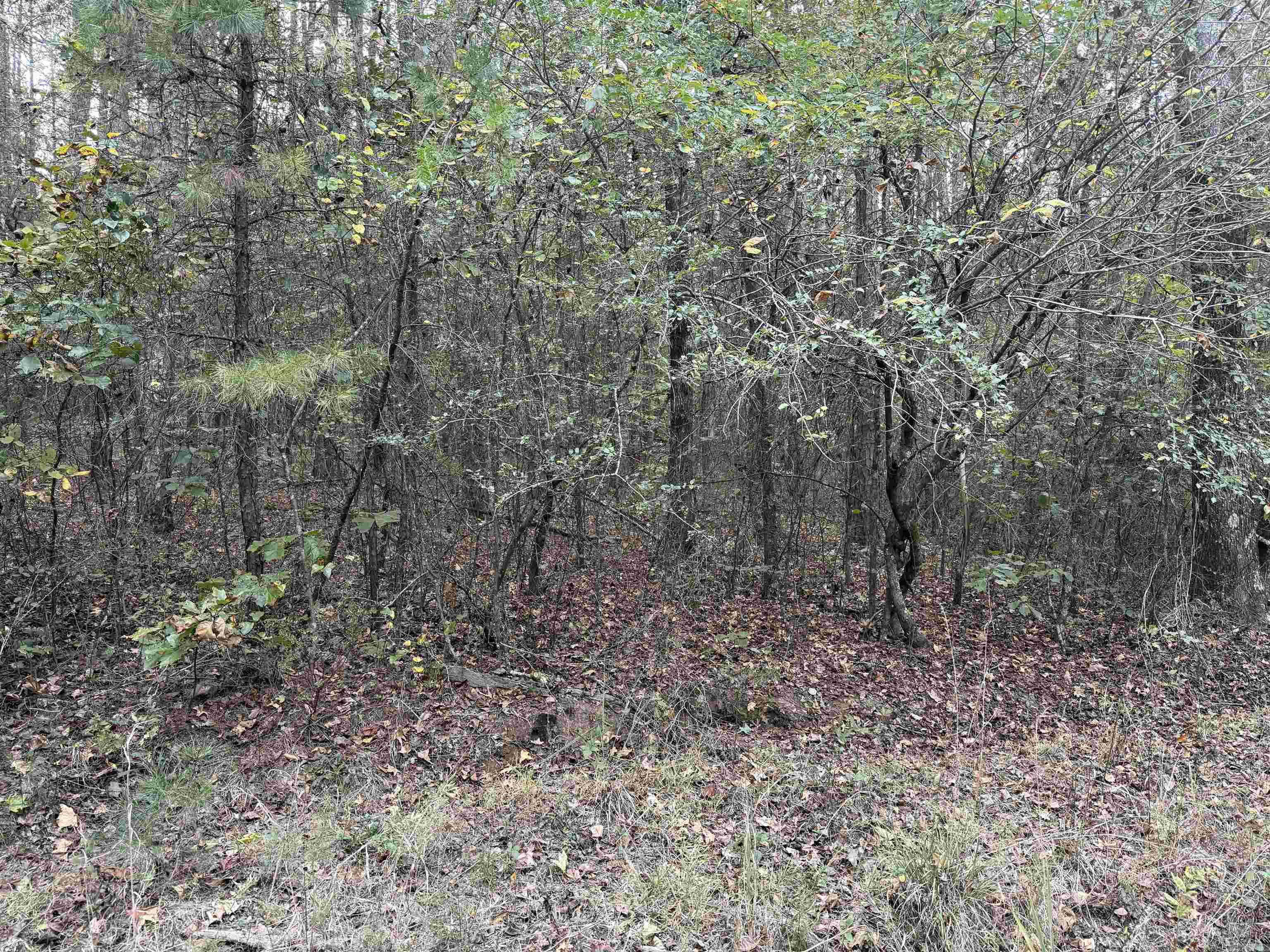Photo 8 - Vacant Land for sale – 141  Duncan Ln   Poughkeepsie, AR