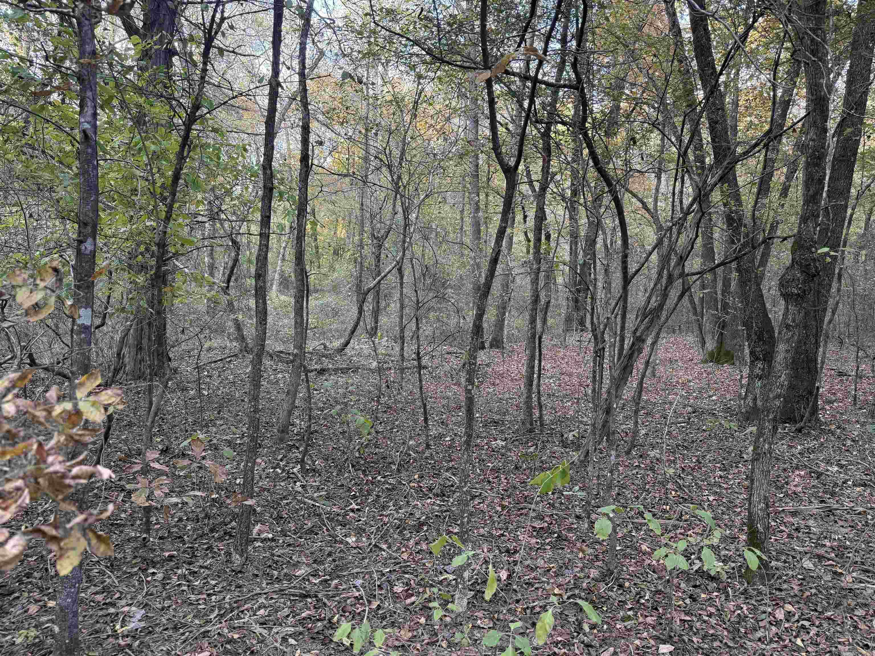 Photo 9 - Vacant Land for sale – 141  Duncan Ln   Poughkeepsie, AR