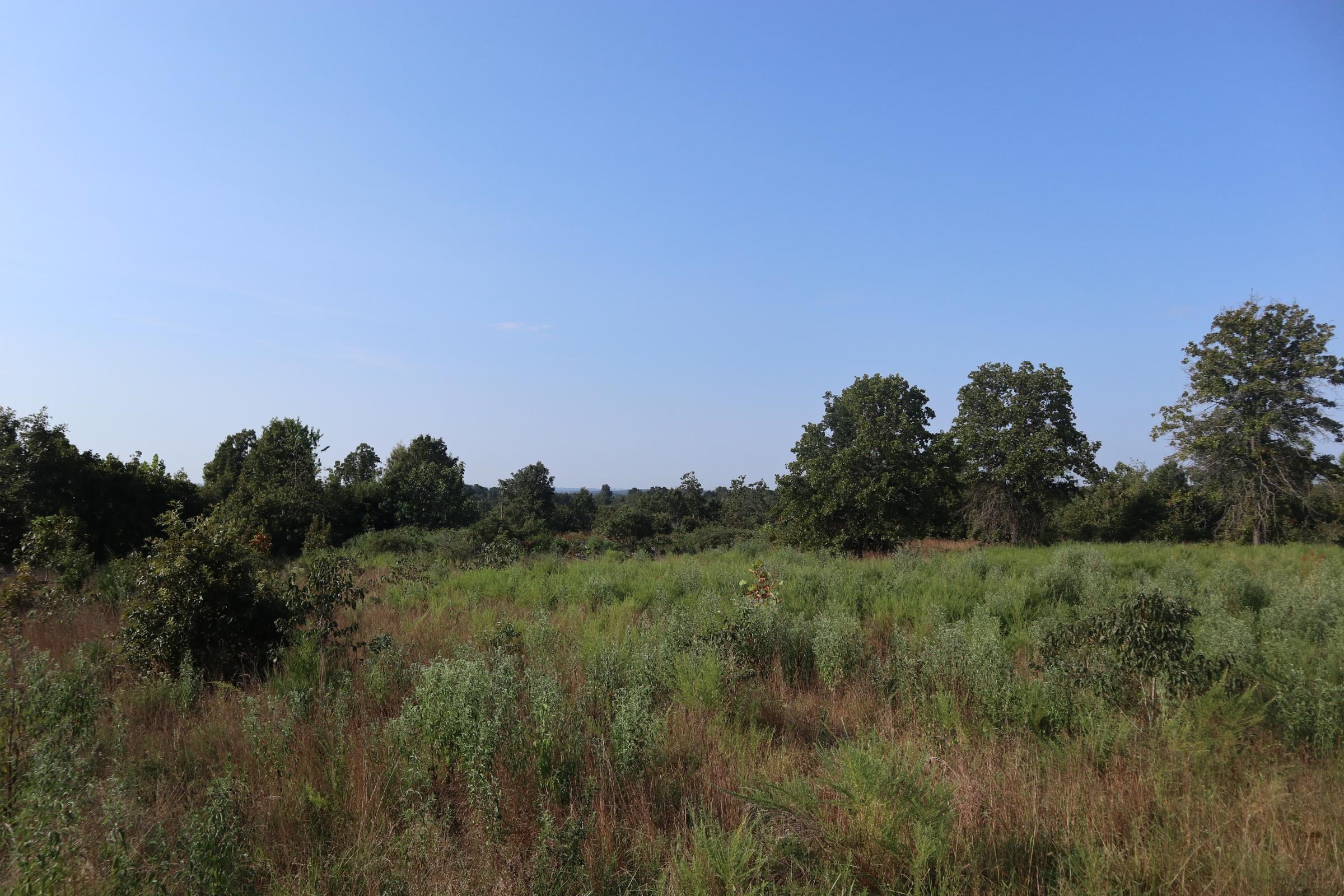 Vacant Land for sale – TBD  Brookgrove Trl   Camp, AR