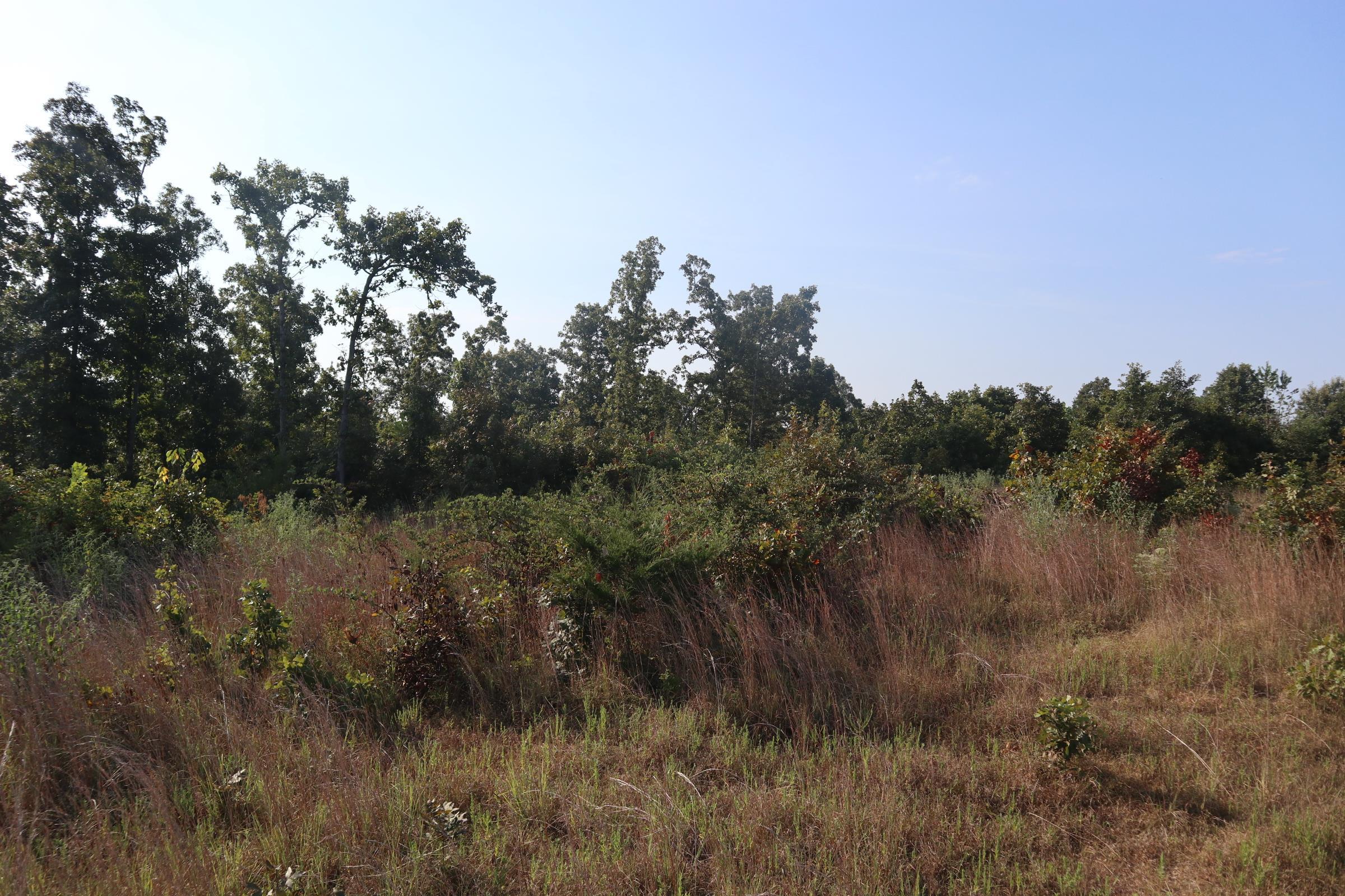 Photo 11 - Vacant Land for sale – TBD  Brookgrove Trl   Camp, AR