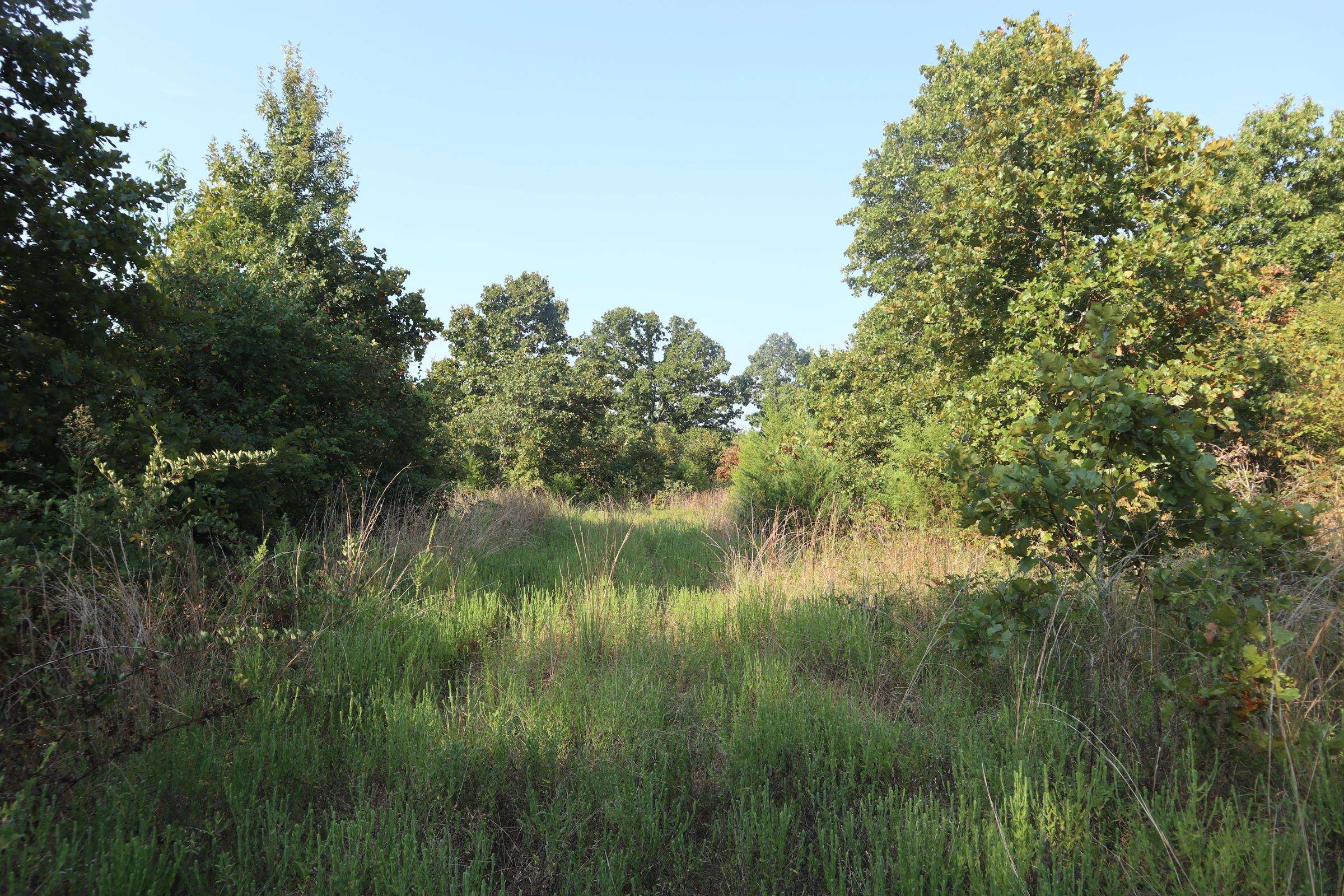 Photo 12 - Vacant Land for sale – TBD  Brookgrove Trl   Camp, AR
