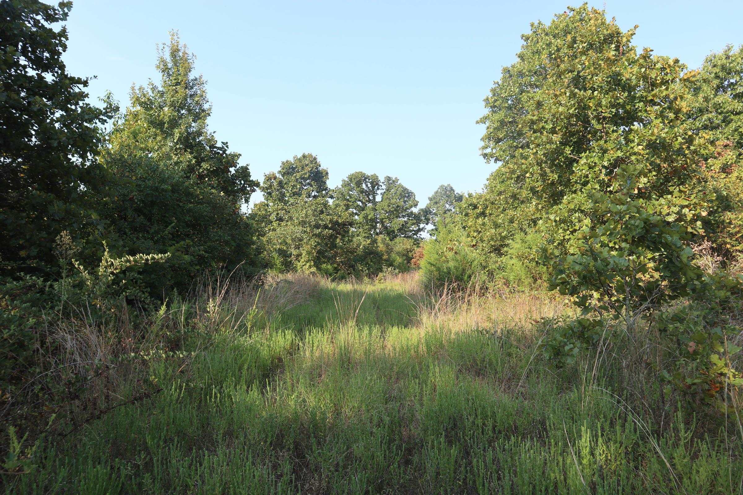 Photo 13 - Vacant Land for sale – TBD  Brookgrove Trl   Camp, AR