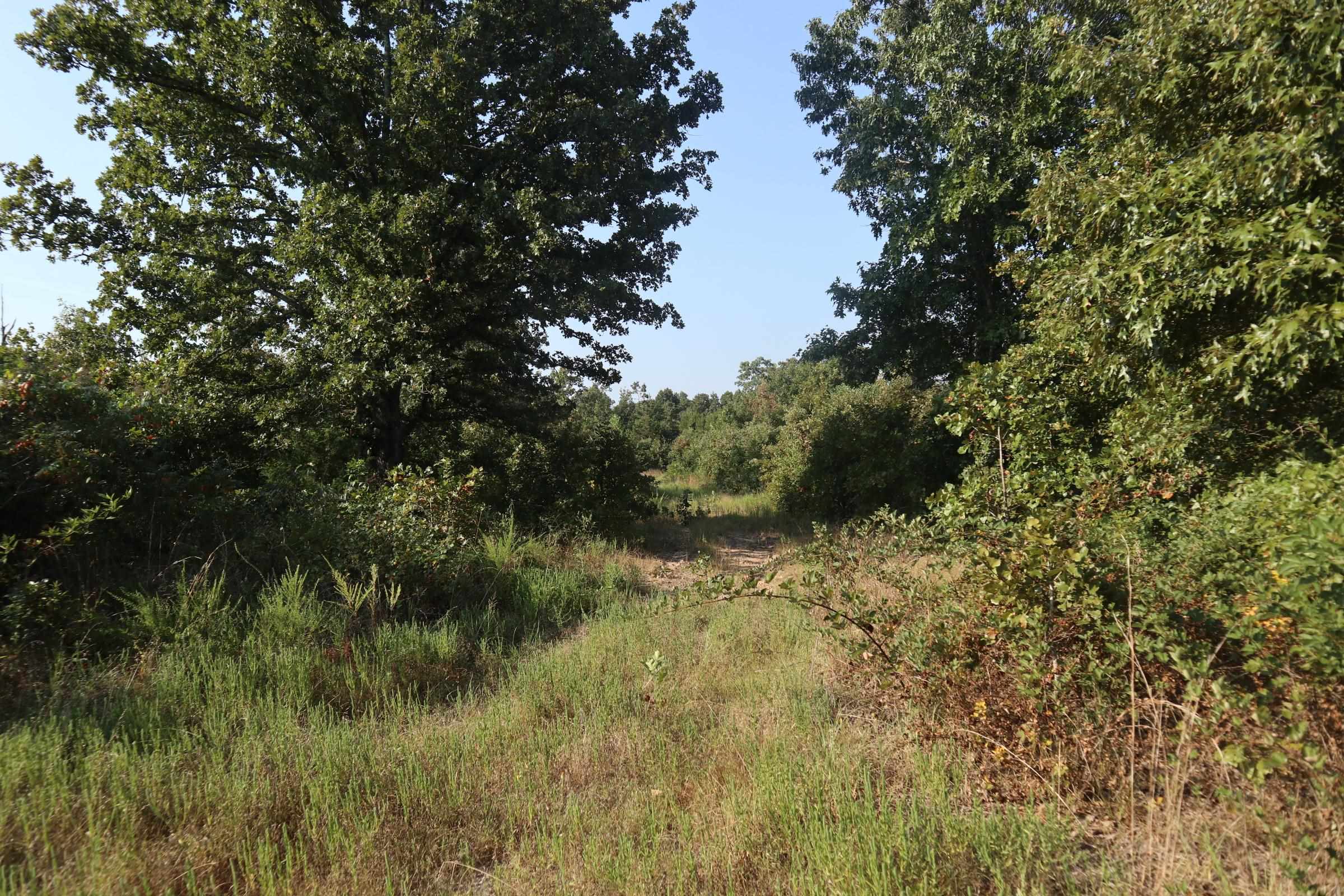 Photo 14 - Vacant Land for sale – TBD  Brookgrove Trl   Camp, AR