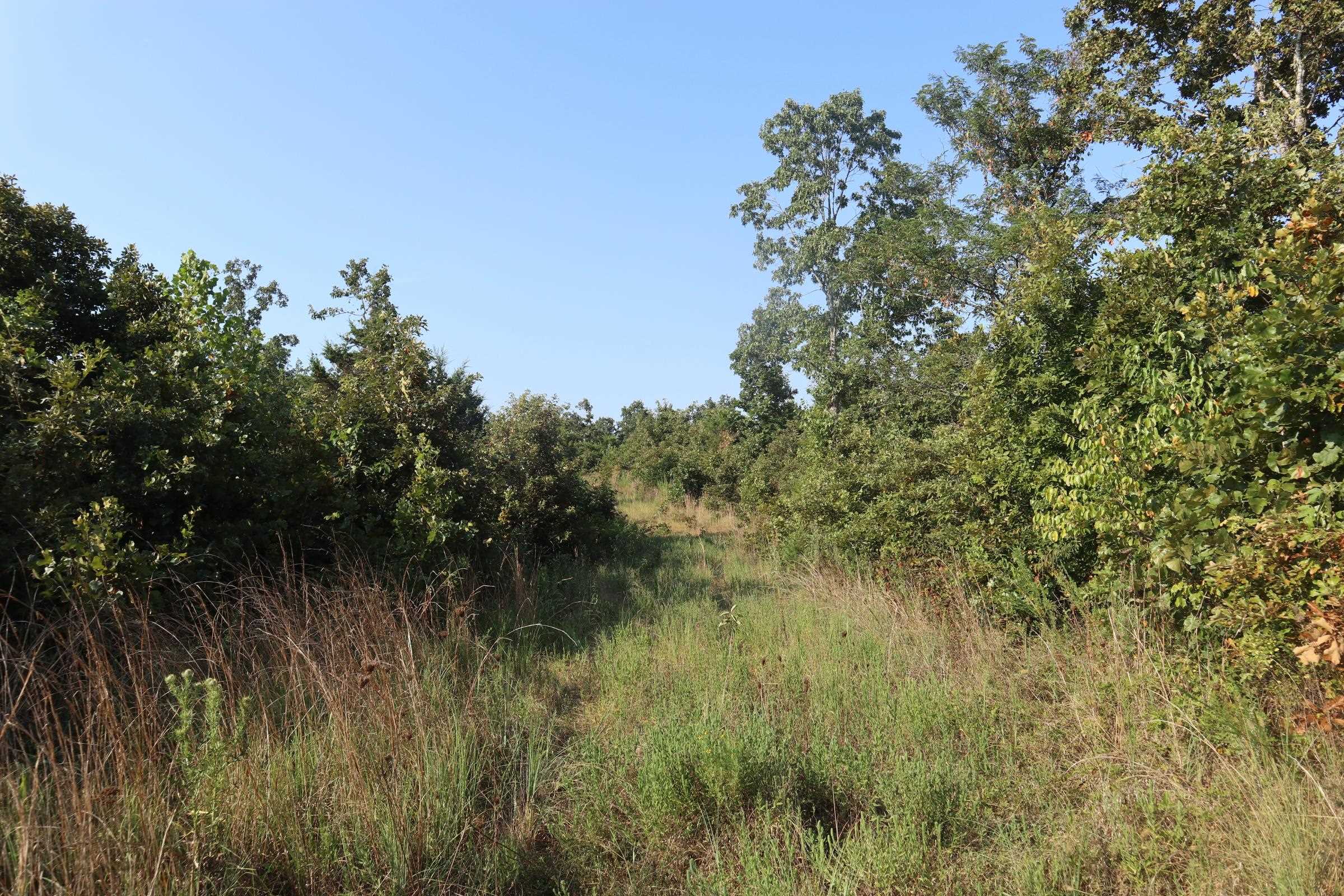 Photo 15 - Vacant Land for sale – TBD  Brookgrove Trl   Camp, AR
