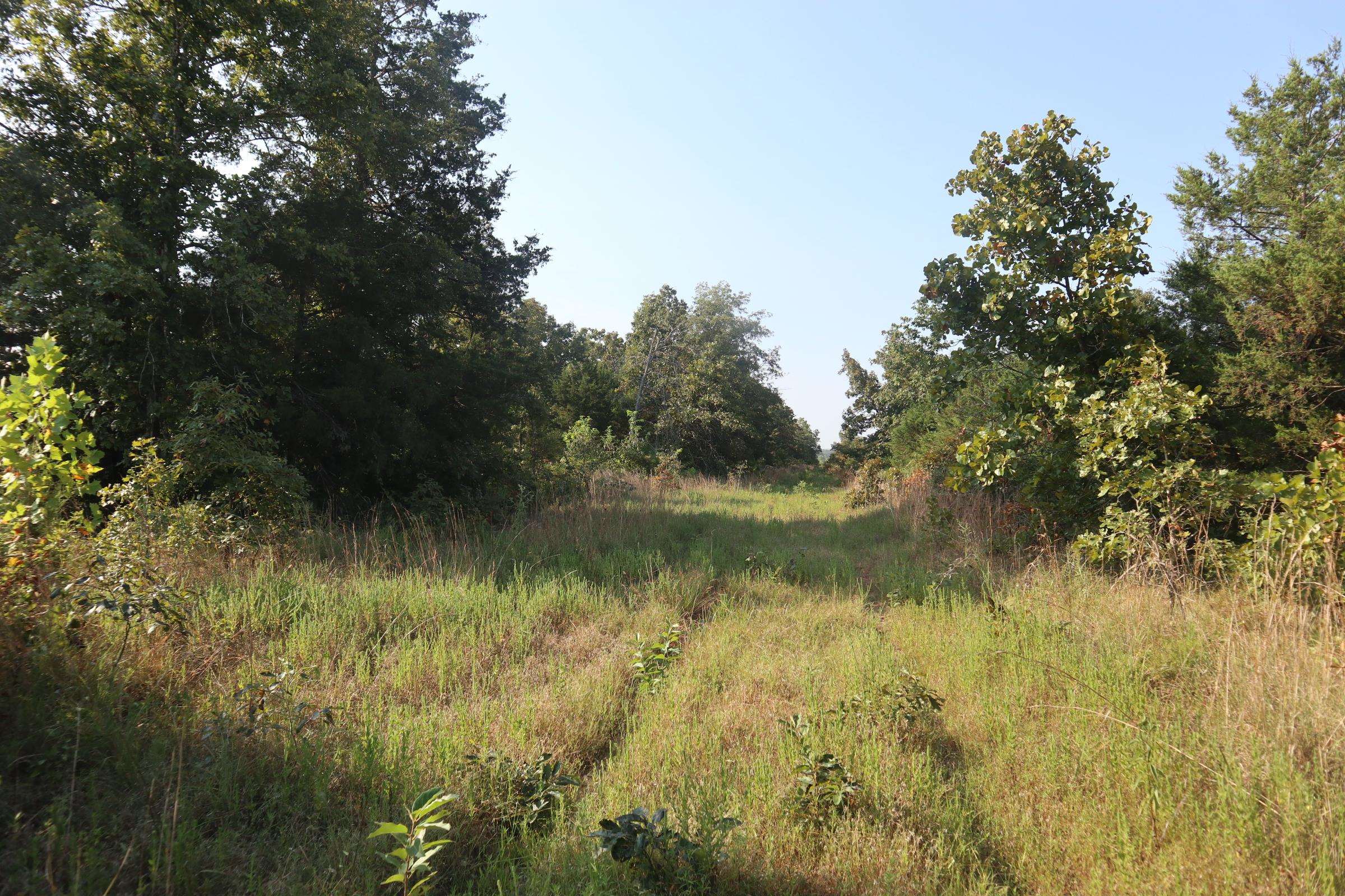 Photo 16 - Vacant Land for sale – TBD  Brookgrove Trl   Camp, AR