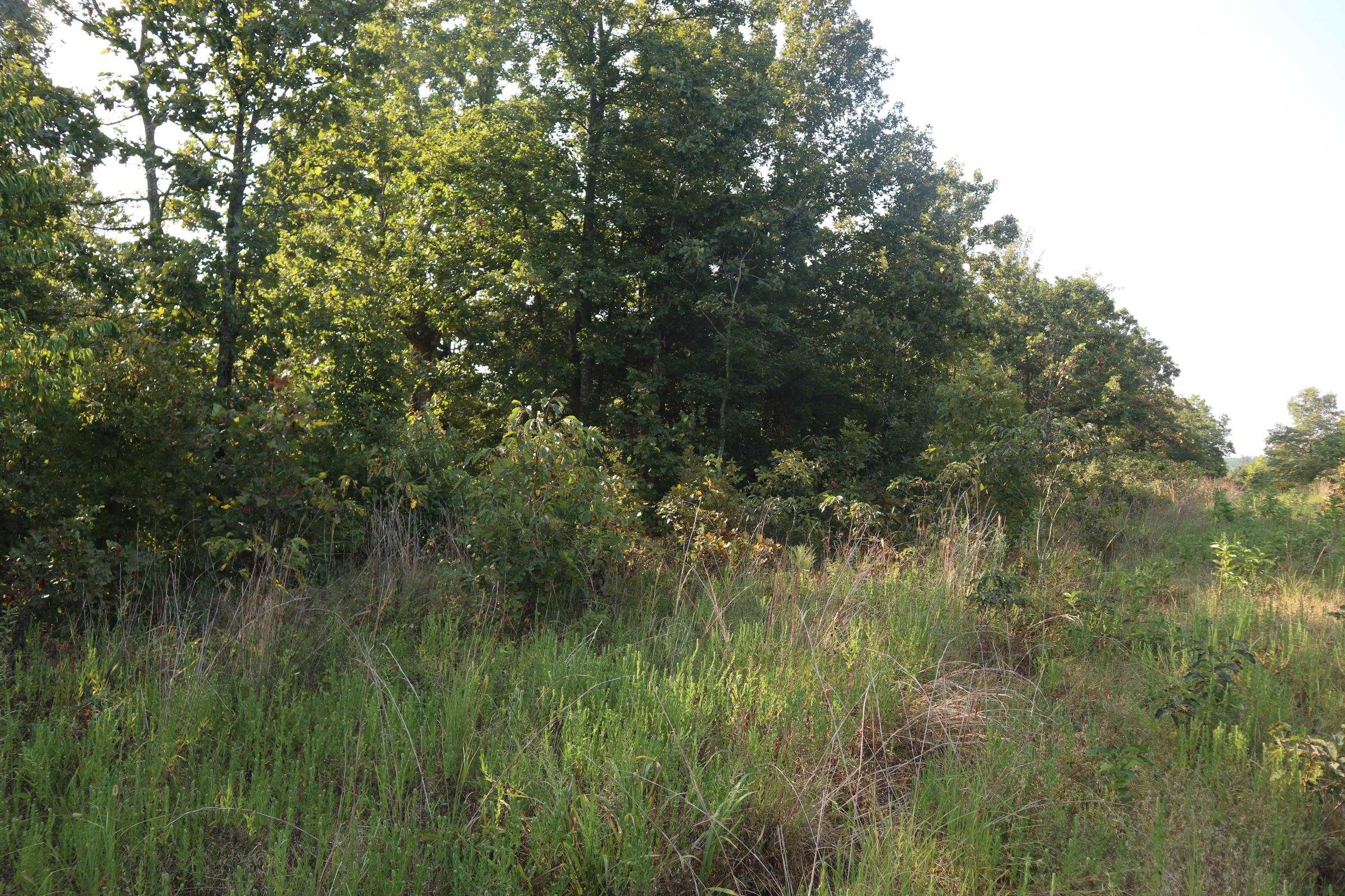 Photo 17 - Vacant Land for sale – TBD  Brookgrove Trl   Camp, AR