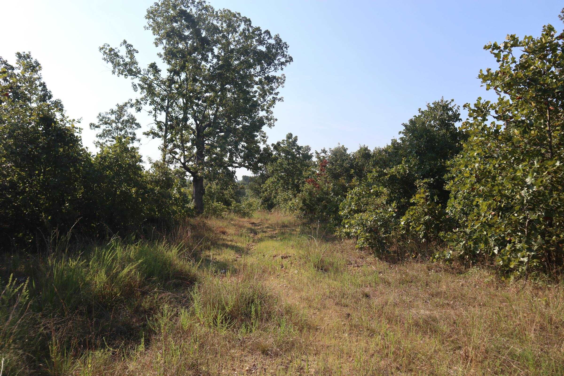 Photo 18 - Vacant Land for sale – TBD  Brookgrove Trl   Camp, AR
