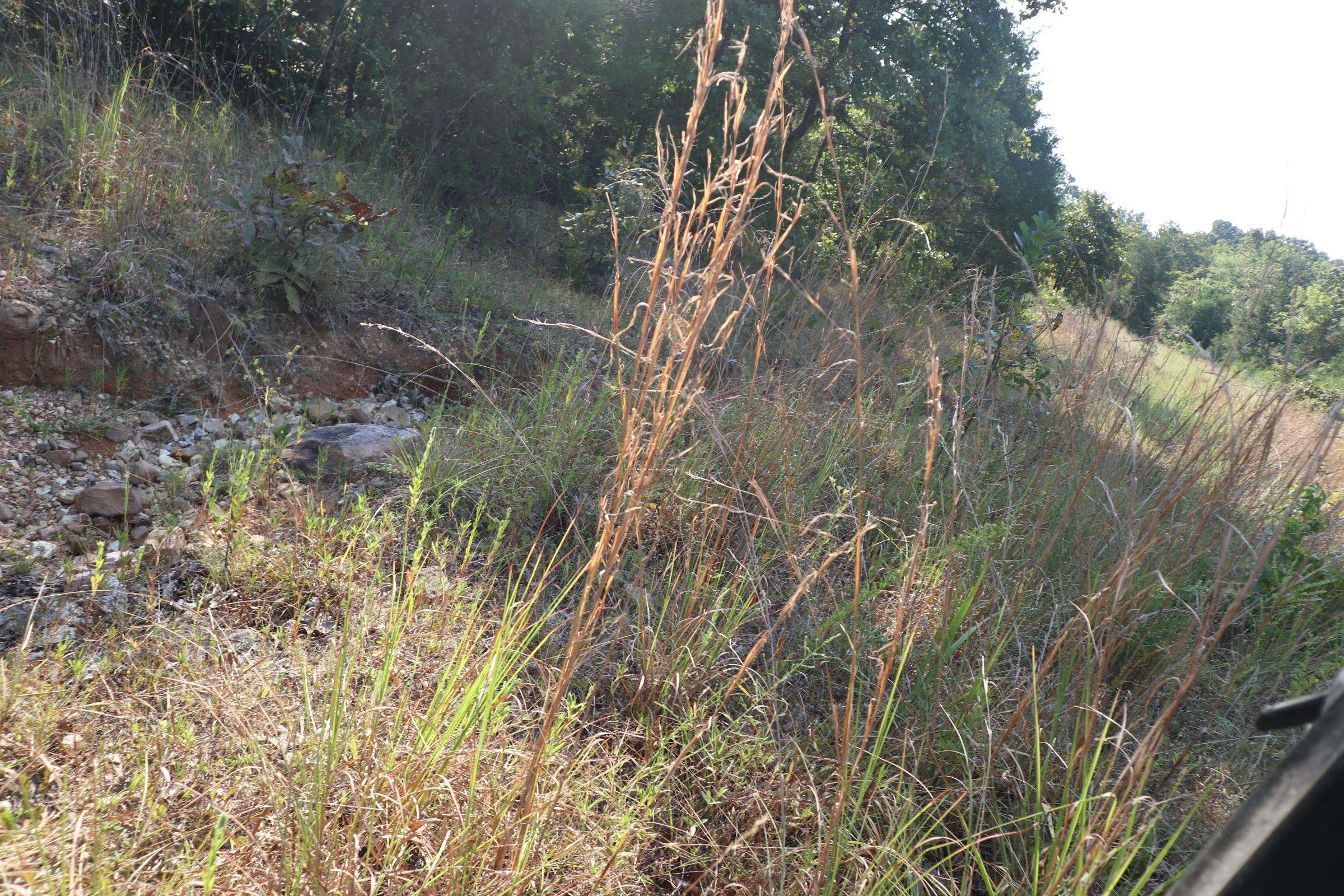 Photo 19 - Vacant Land for sale – TBD  Brookgrove Trl   Camp, AR