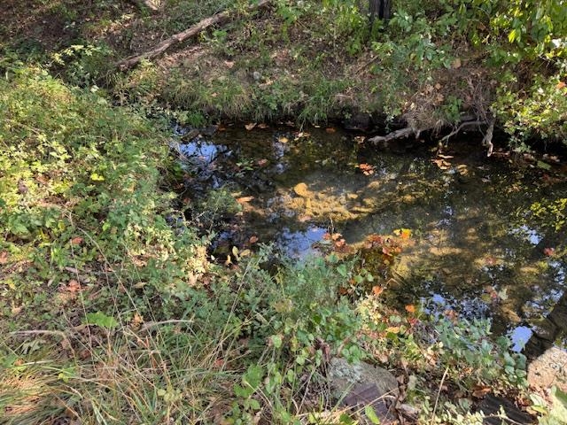 Photo 3 - Vacant Land for sale – TBD  Brookgrove Trl   Camp, AR