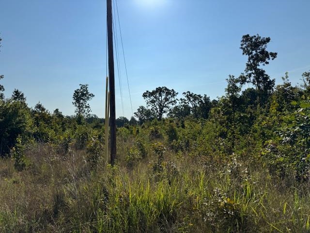 Photo 24 - Vacant Land for sale – TBD  Brookgrove Trl   Camp, AR