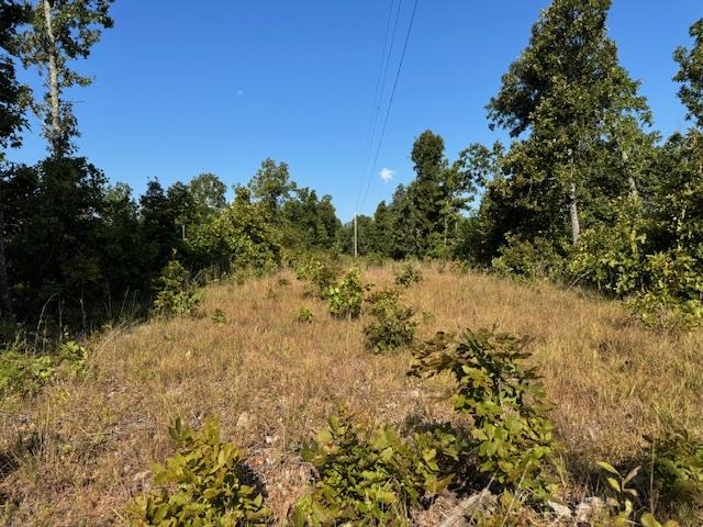 Photo 25 - Vacant Land for sale – TBD  Brookgrove Trl   Camp, AR