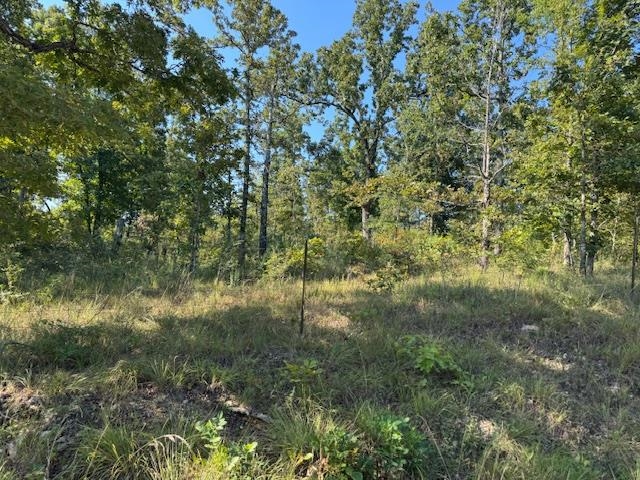 Photo 28 - Vacant Land for sale – TBD  Brookgrove Trl   Camp, AR