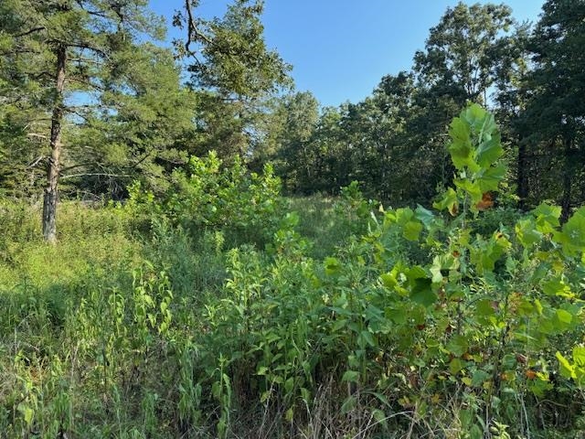 Photo 29 - Vacant Land for sale – TBD  Brookgrove Trl   Camp, AR