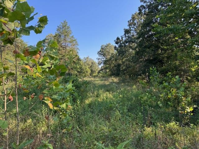 Photo 30 - Vacant Land for sale – TBD  Brookgrove Trl   Camp, AR