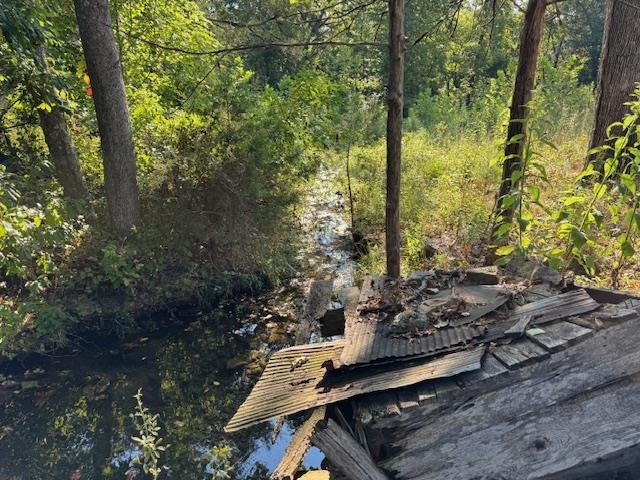 Photo 4 - Vacant Land for sale – TBD  Brookgrove Trl   Camp, AR