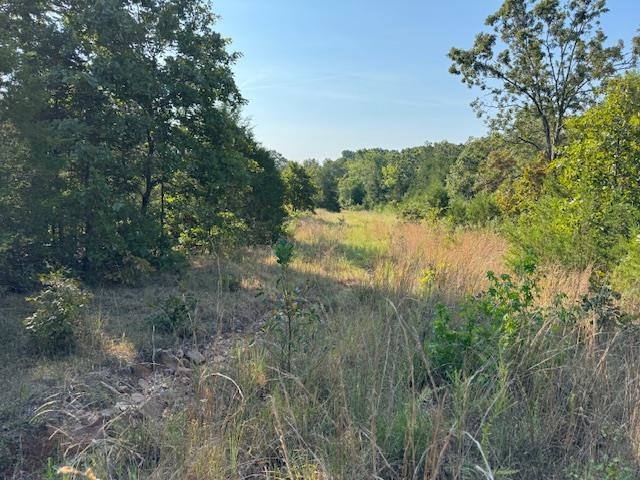 Photo 31 - Vacant Land for sale – TBD  Brookgrove Trl   Camp, AR