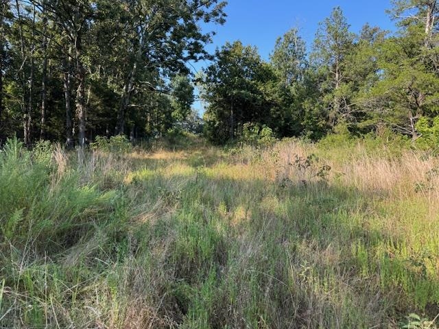 Photo 33 - Vacant Land for sale – TBD  Brookgrove Trl   Camp, AR