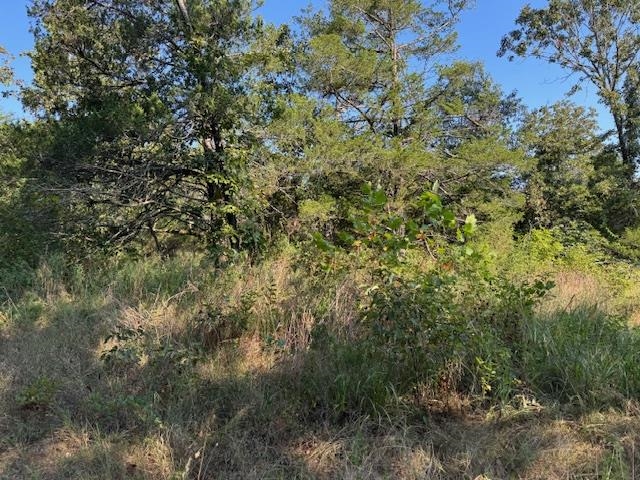 Photo 35 - Vacant Land for sale – TBD  Brookgrove Trl   Camp, AR