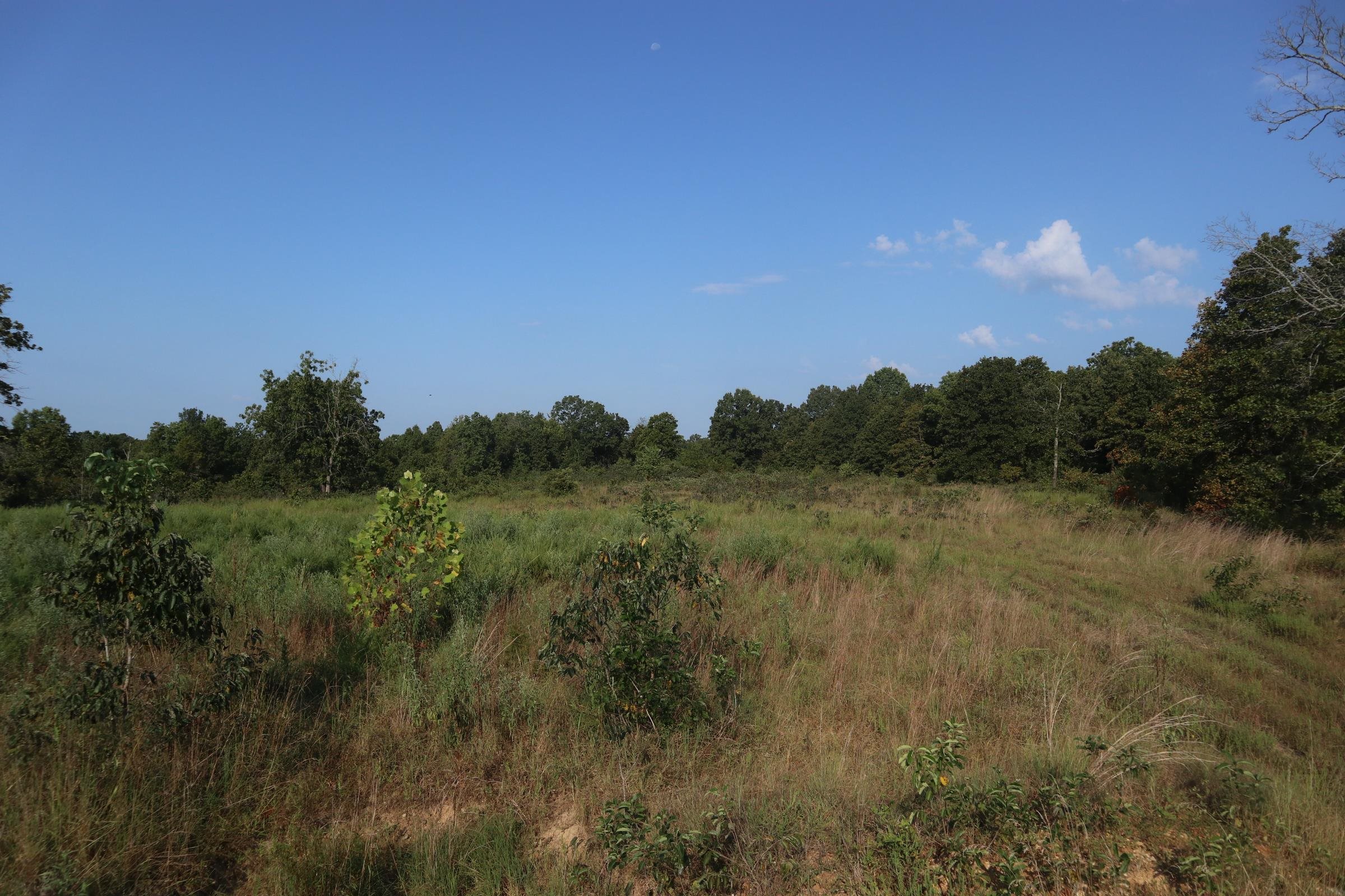 Photo 7 - Vacant Land for sale – TBD  Brookgrove Trl   Camp, AR