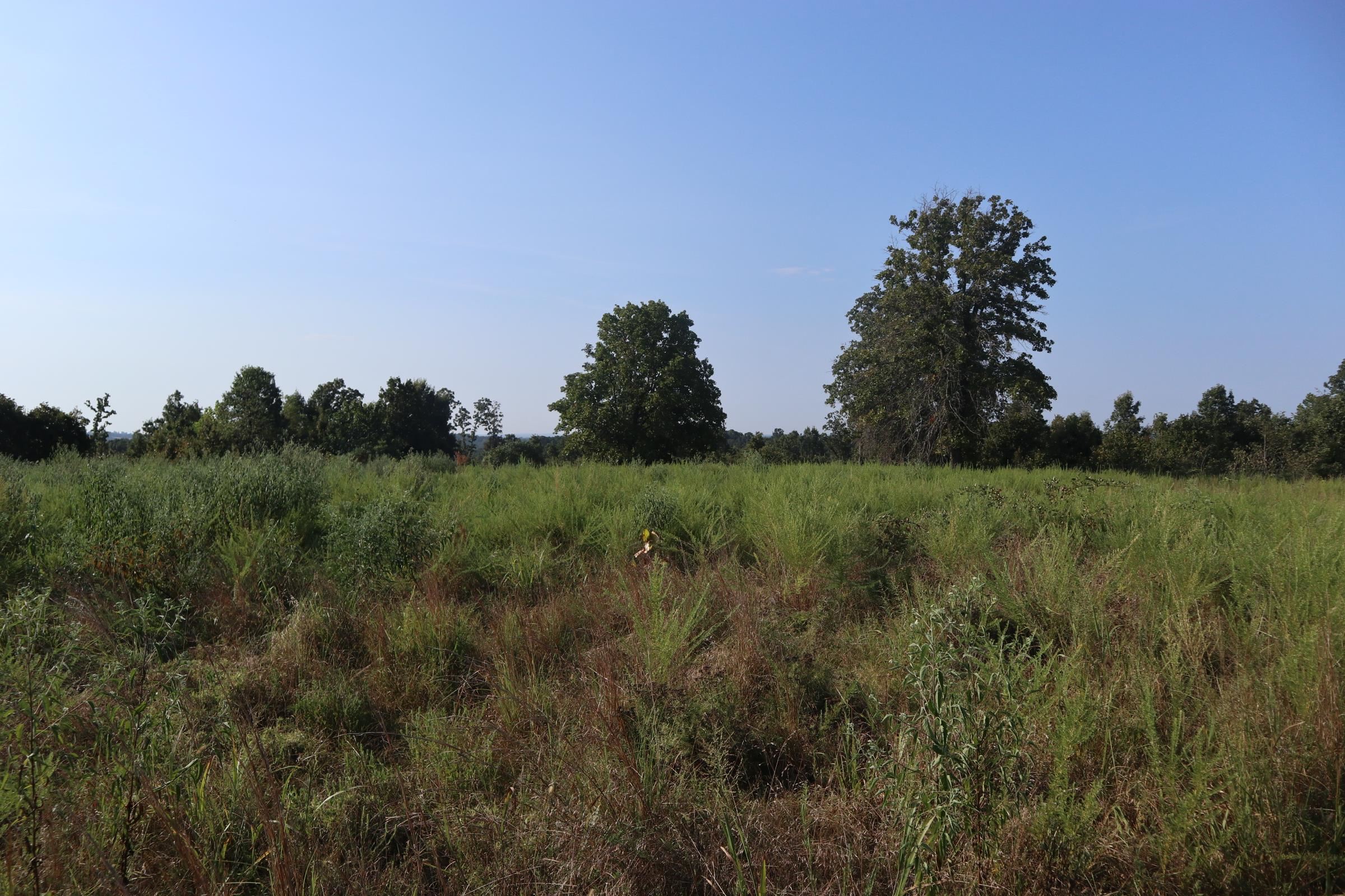Photo 8 - Vacant Land for sale – TBD  Brookgrove Trl   Camp, AR