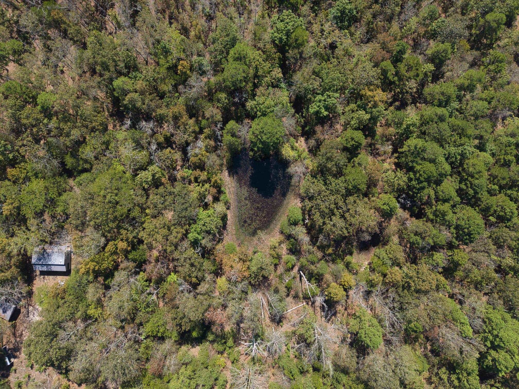 Photo 2 - Residential for sale – 800  Foster Drive   Violet Hill, AR