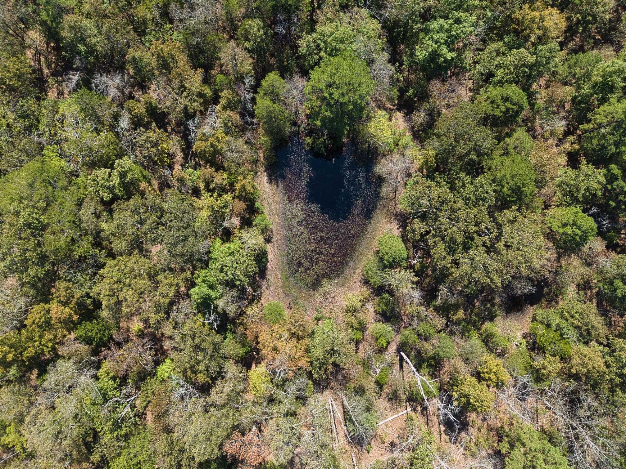 Photo 3 - Residential for sale – 800  Foster Drive   Violet Hill, AR