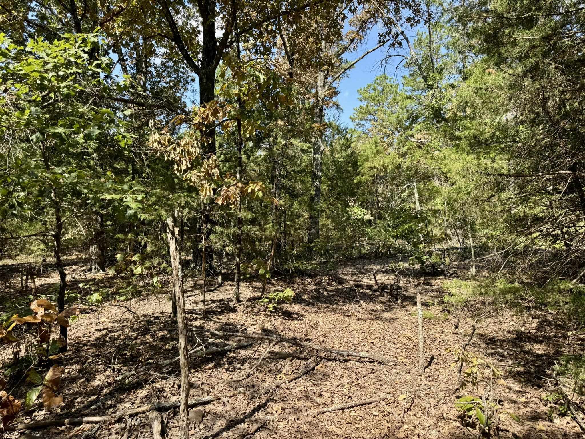 Photo 24 - Residential for sale – 800  Foster Drive   Violet Hill, AR