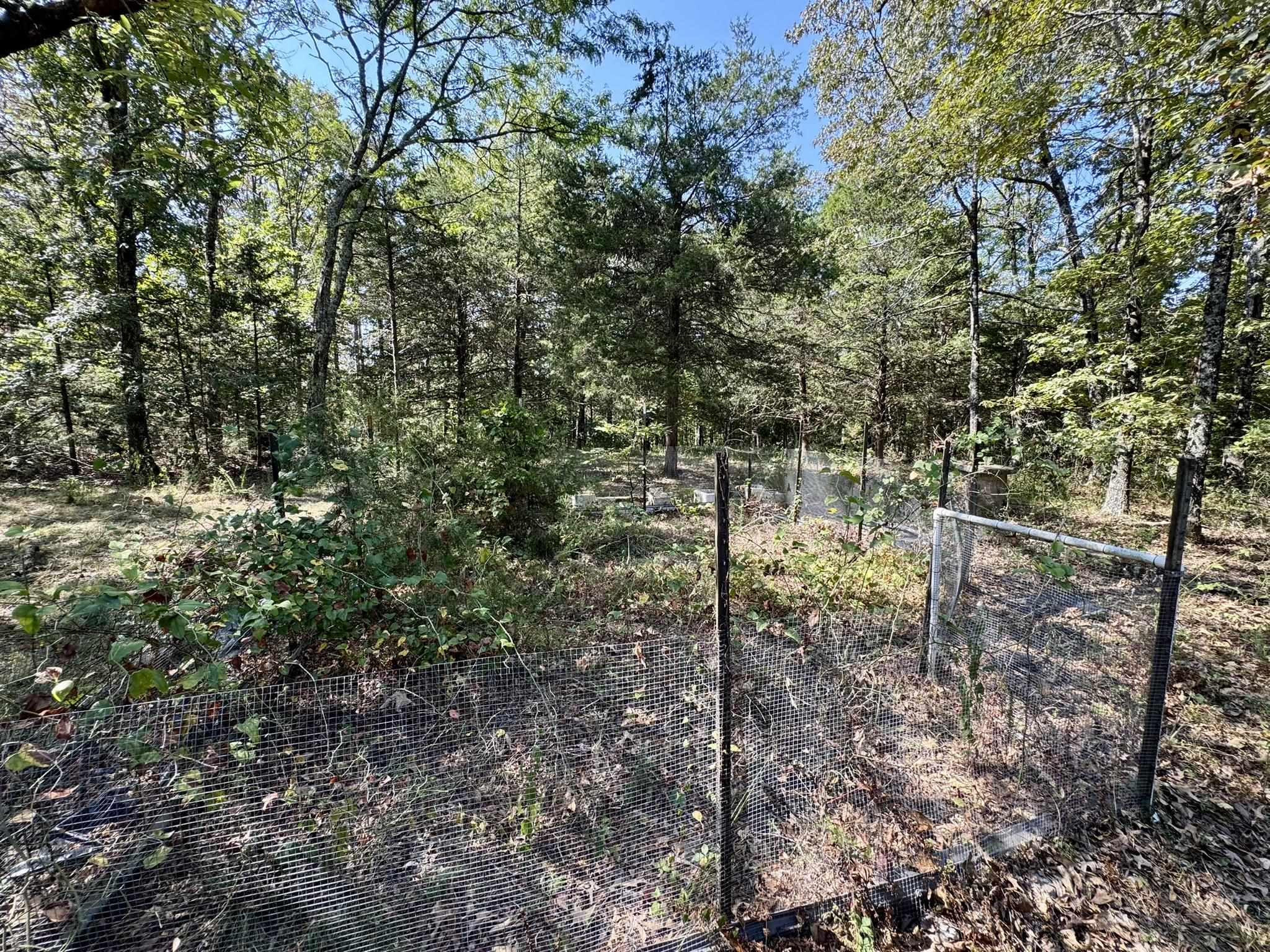 Photo 30 - Residential for sale – 800  Foster Drive   Violet Hill, AR