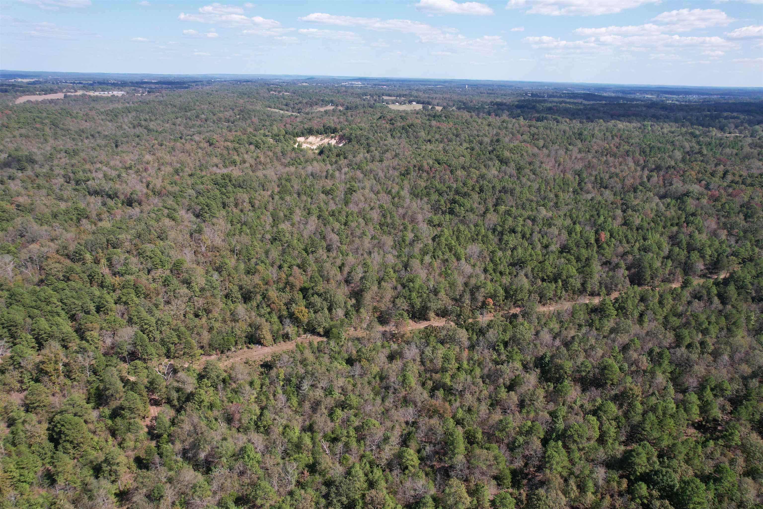 Photo 4 - Residential for sale – 800  Foster Drive   Violet Hill, AR