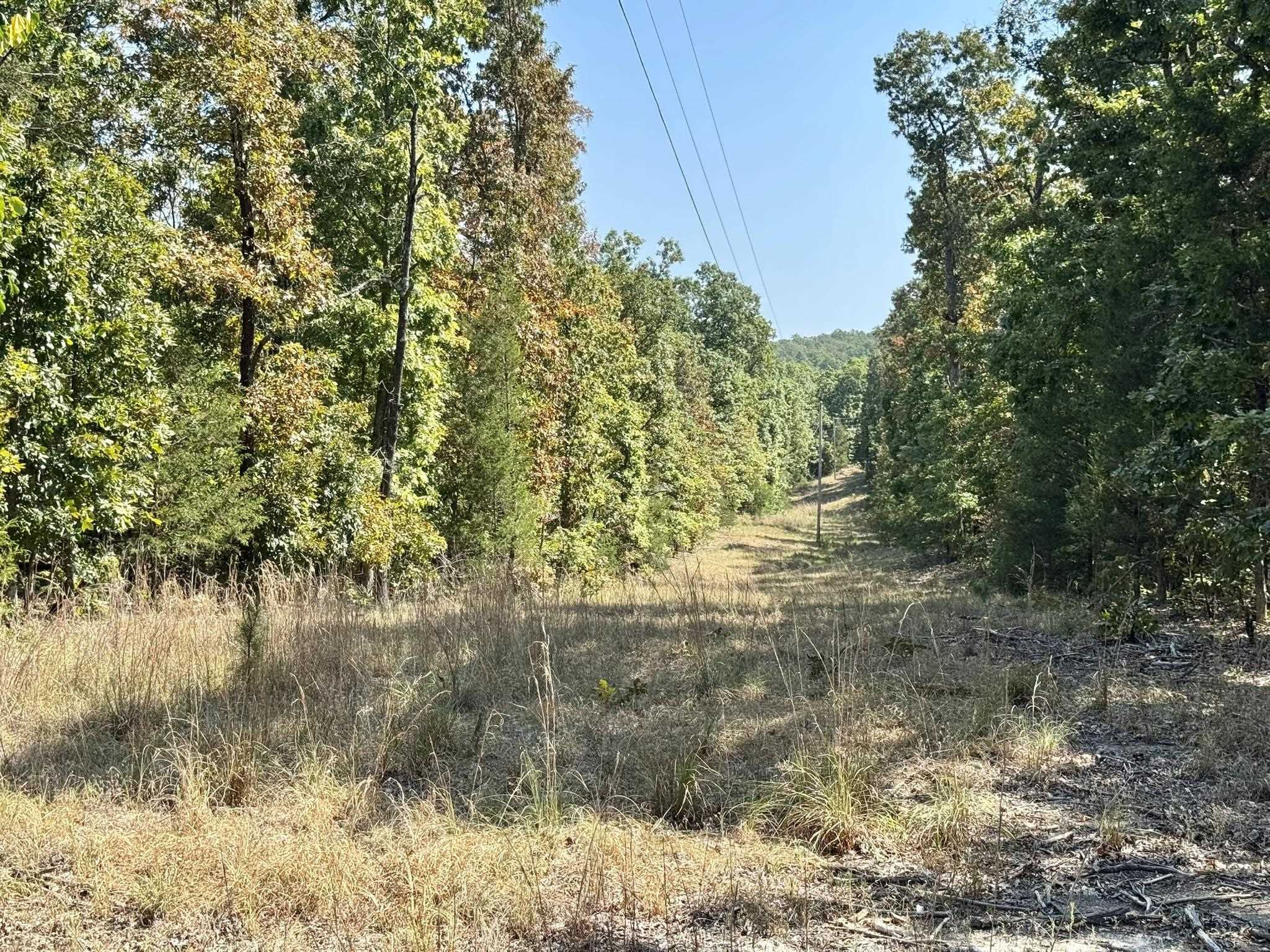 Photo 33 - Residential for sale – 800  Foster Drive   Violet Hill, AR