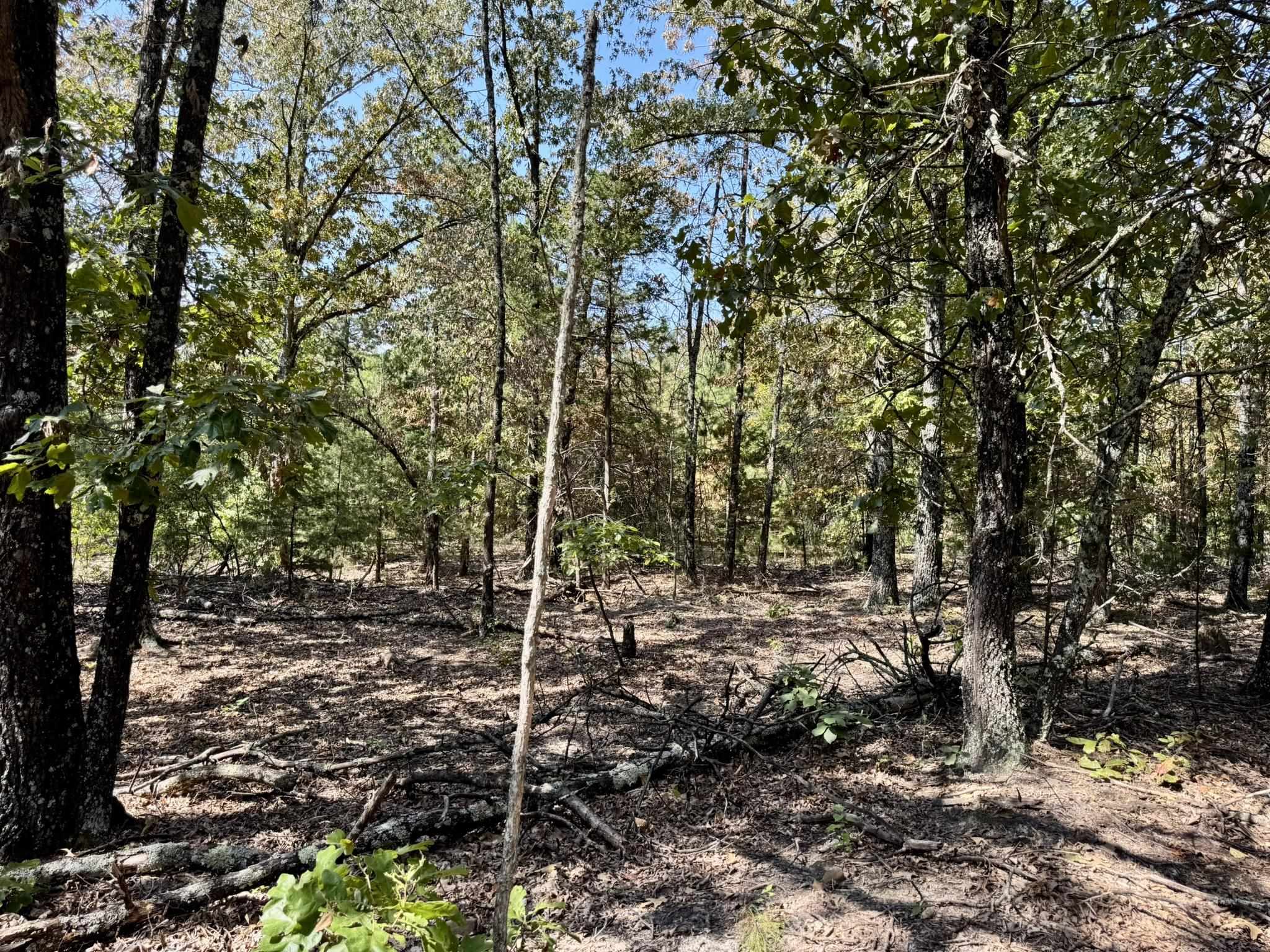 Photo 37 - Residential for sale – 800  Foster Drive   Violet Hill, AR