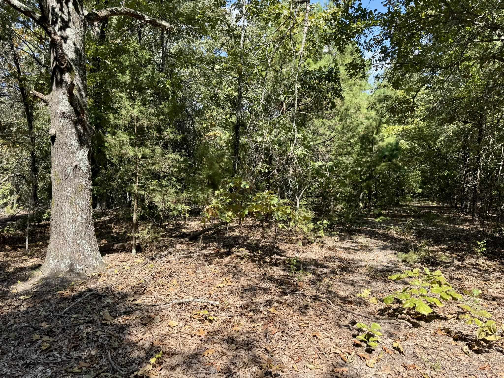 Photo 38 - Residential for sale – 800  Foster Drive   Violet Hill, AR