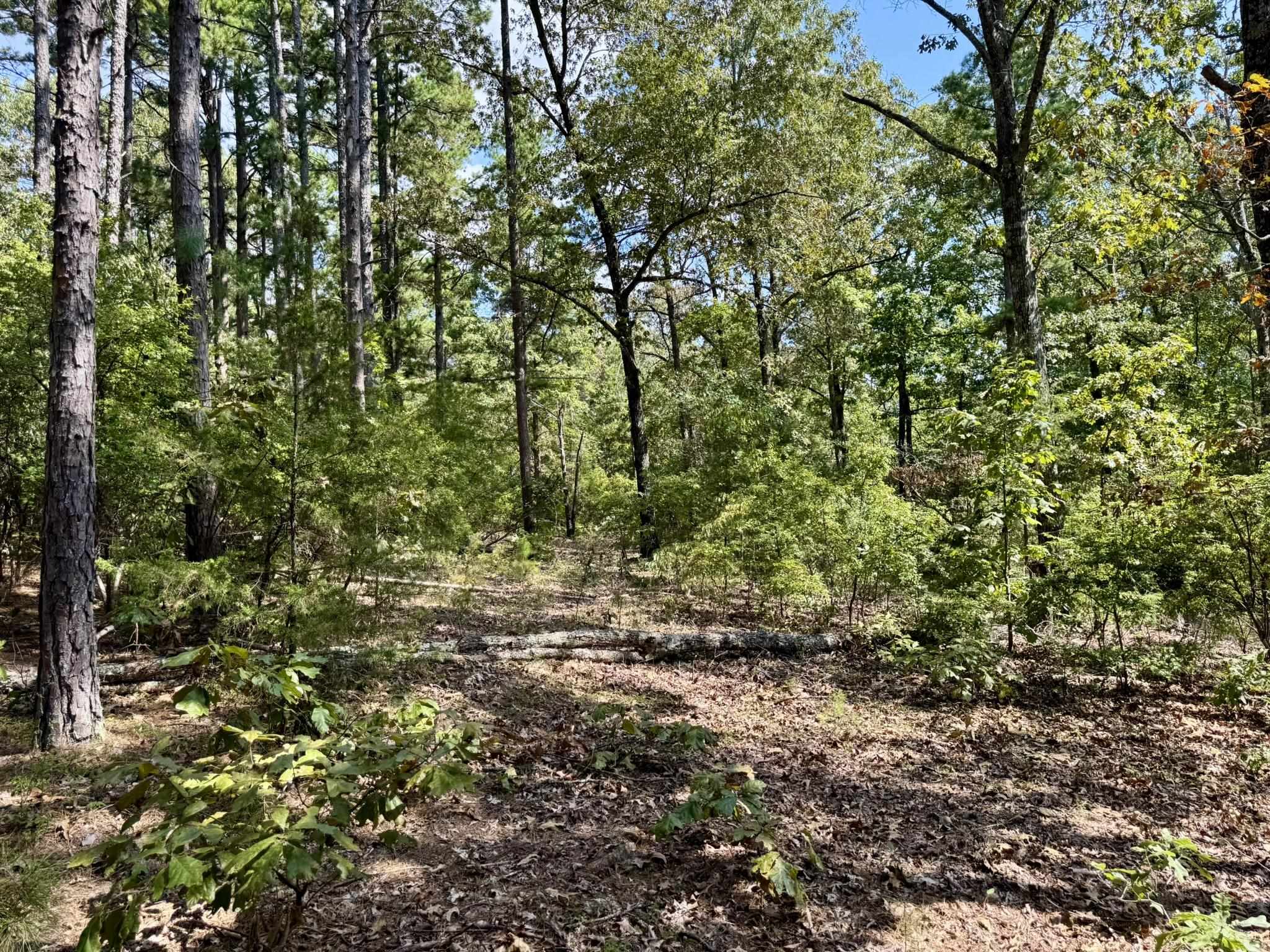 Photo 39 - Residential for sale – 800  Foster Drive   Violet Hill, AR