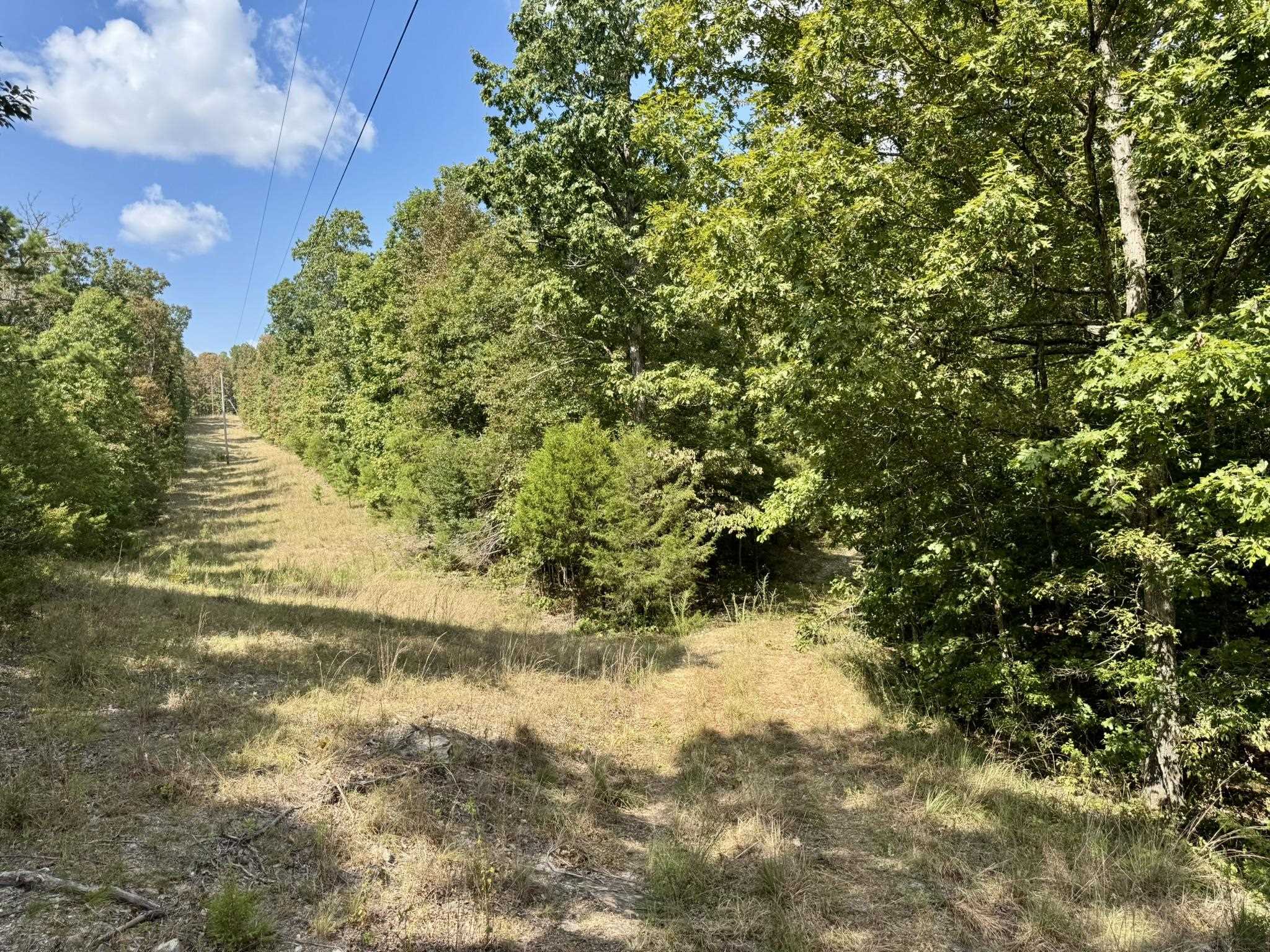 Photo 40 - Residential for sale – 800  Foster Drive   Violet Hill, AR