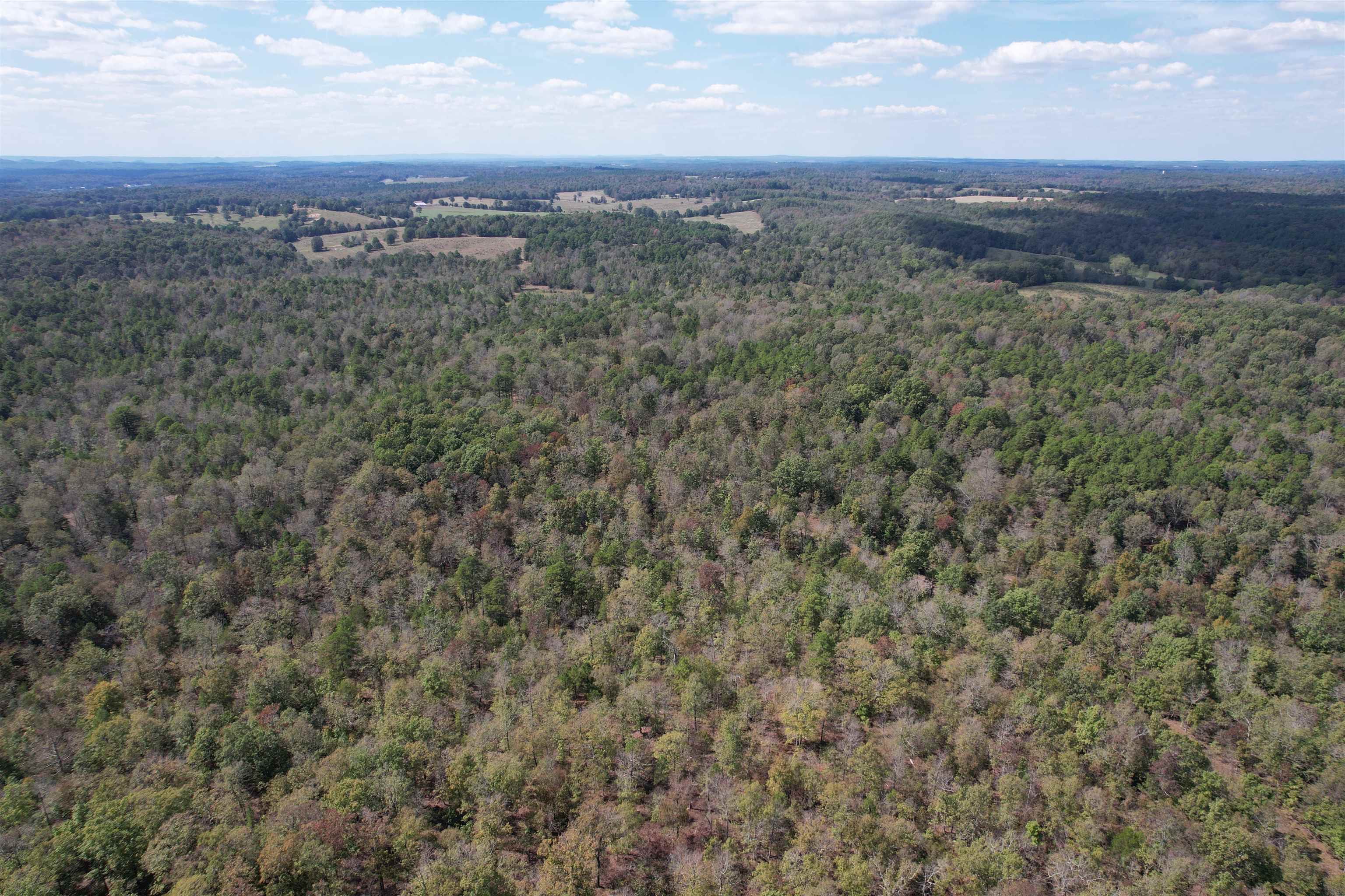 Photo 7 - Residential for sale – 800  Foster Drive   Violet Hill, AR