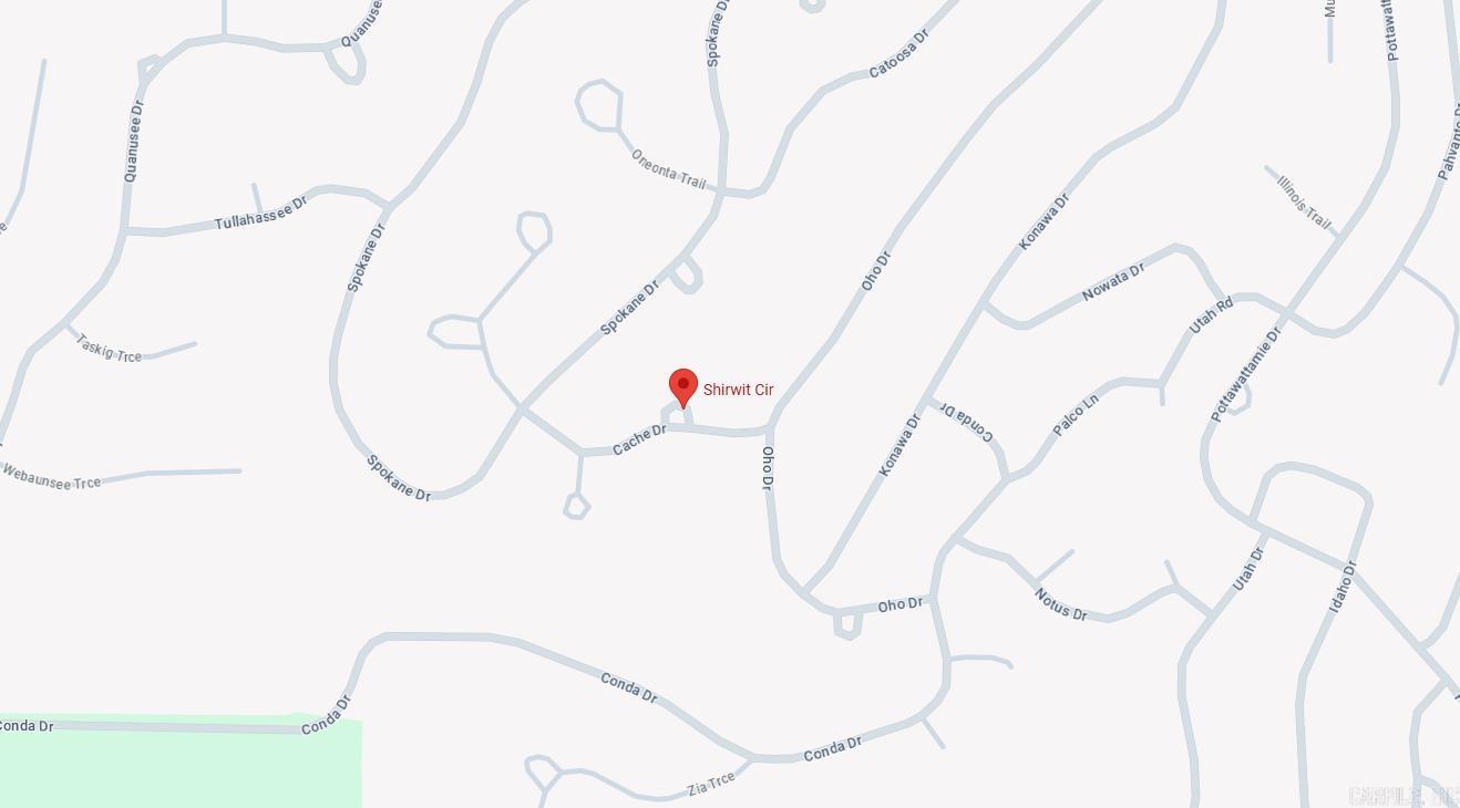 Photo 3 - Vacant Land for sale – Lot 4  Shirwit   Cherokee Village, AR