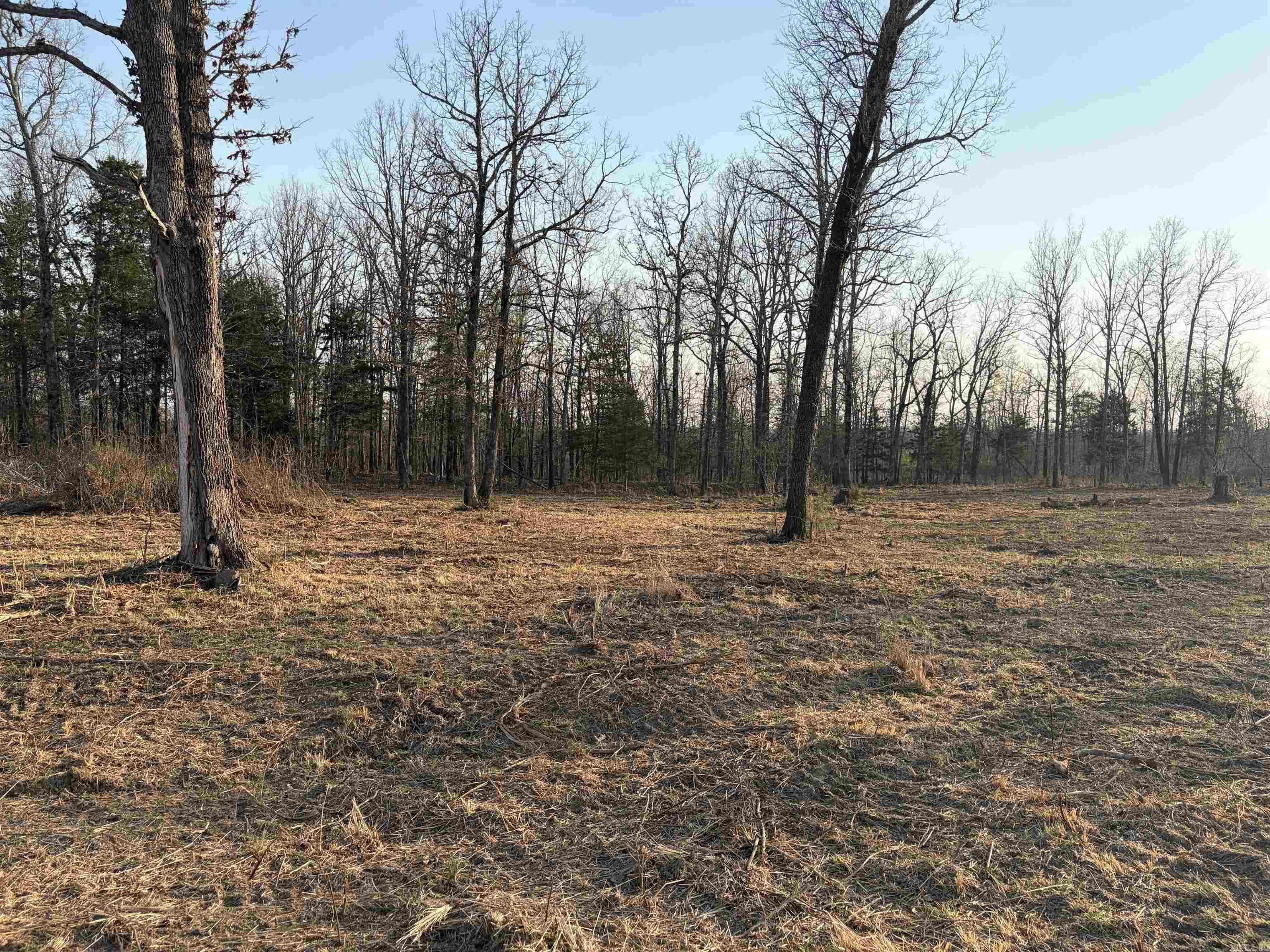 Photo 8 - Residential for sale – 128  Brook Grove Trl   Camp, AR