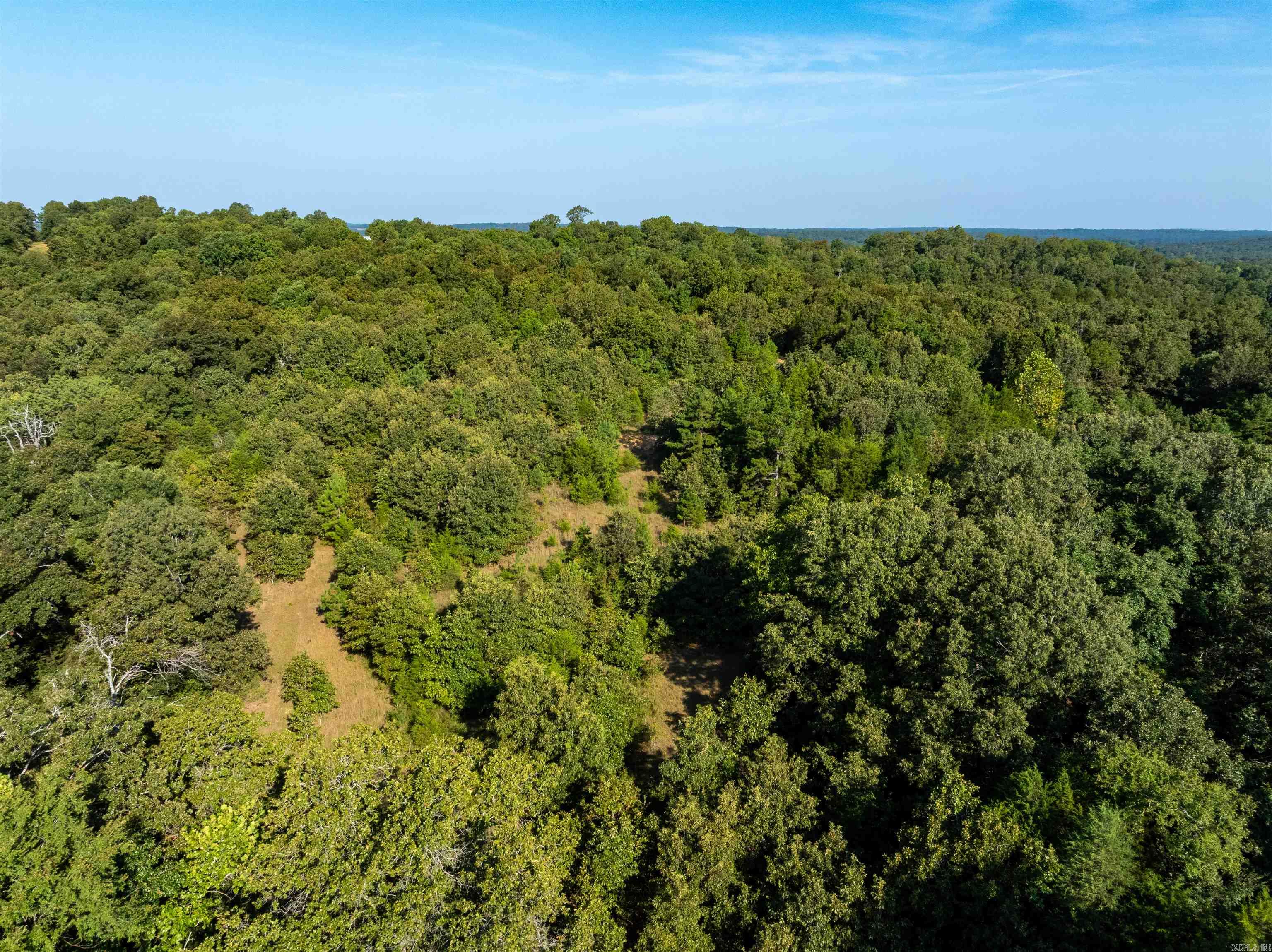 Photo 11 - Vacant Land for sale – 1591  AR hwy 115   Smithville, AR