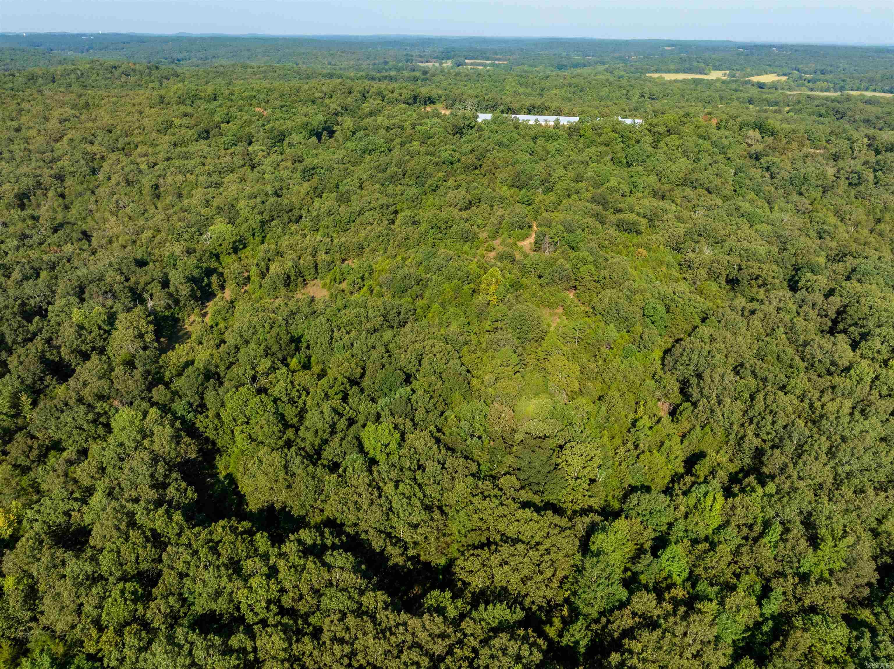 Photo 12 - Vacant Land for sale – 1591  AR hwy 115   Smithville, AR