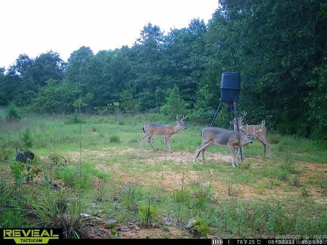Photo 18 - Vacant Land for sale – 1591  AR hwy 115   Smithville, AR