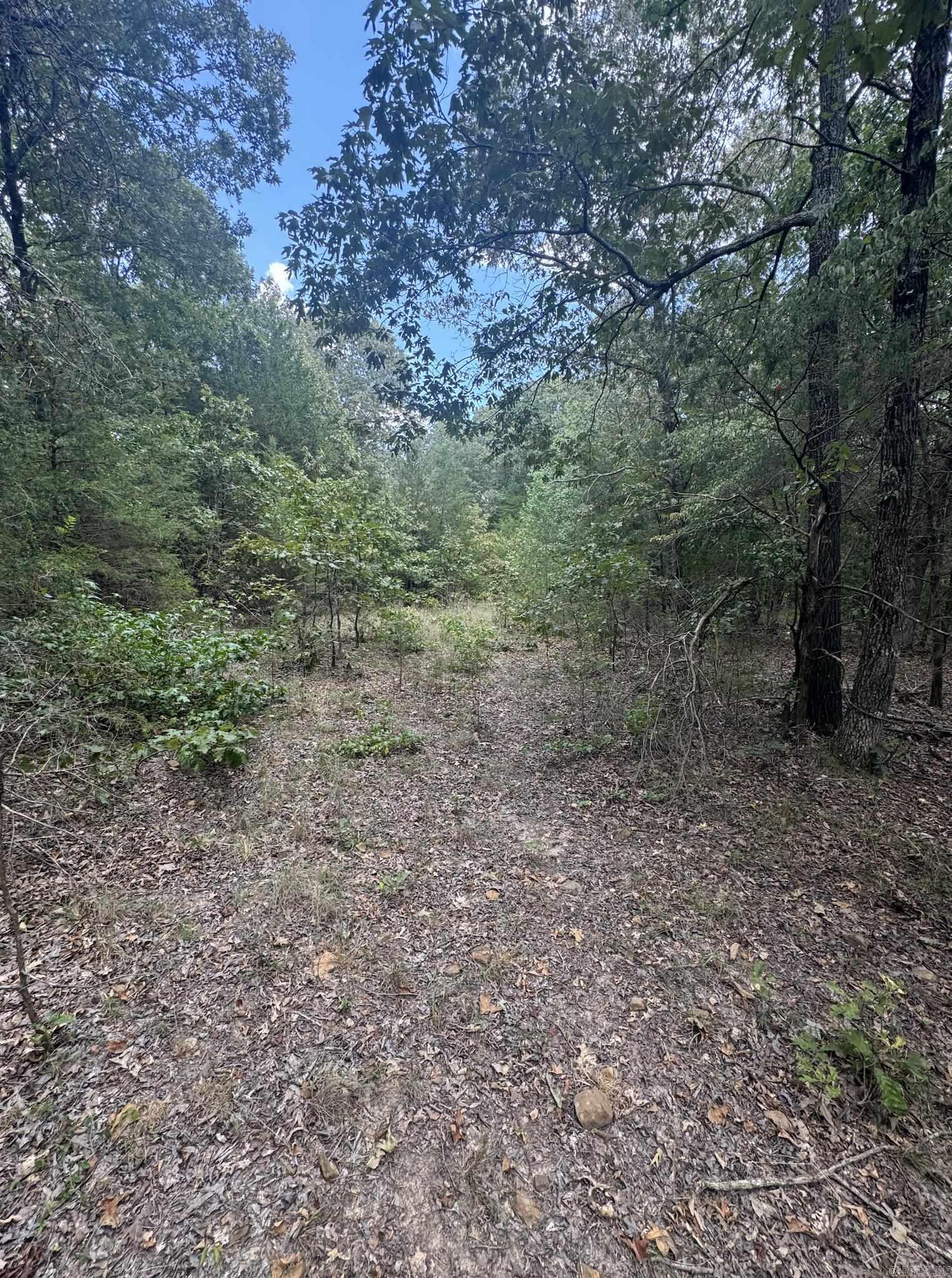 Photo 21 - Vacant Land for sale – 1591  AR hwy 115   Smithville, AR