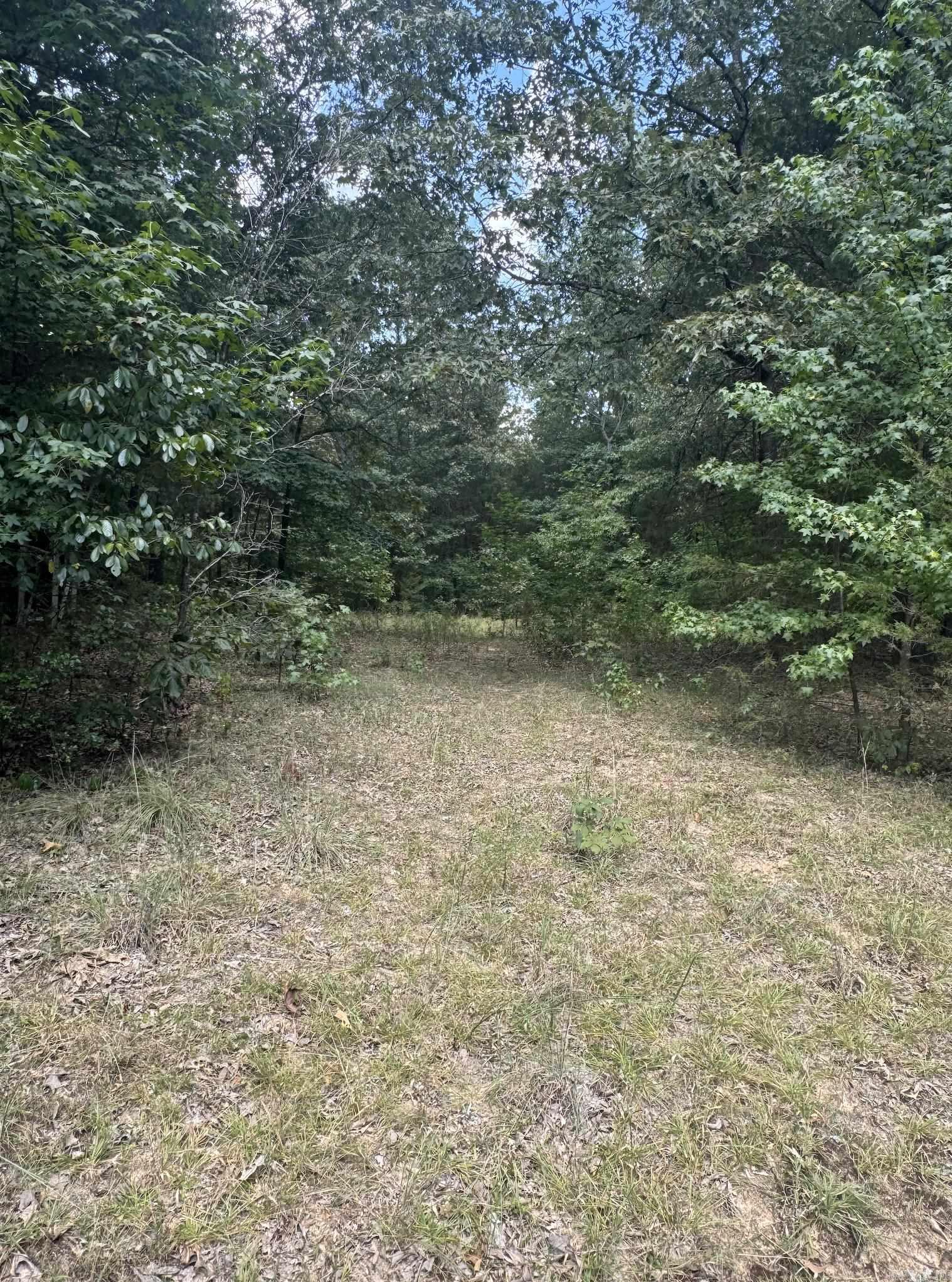 Photo 22 - Vacant Land for sale – 1591  AR hwy 115   Smithville, AR