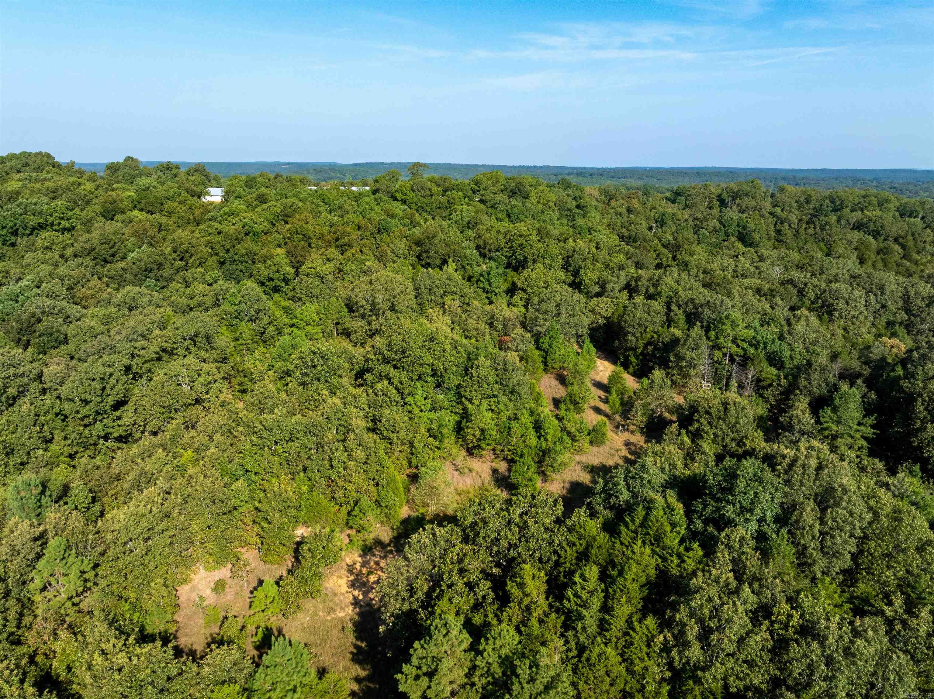 Photo 10 - Vacant Land for sale – 1591  AR hwy 115   Smithville, AR