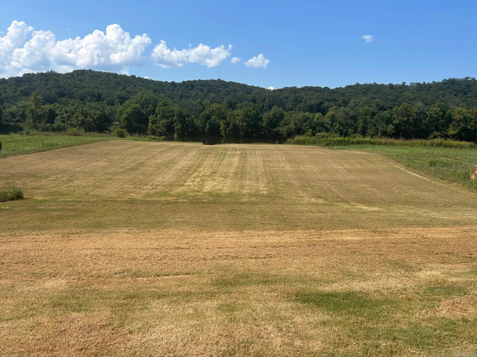 Photo 11 - Vacant Land for sale – 708  White River   Guion, AR
