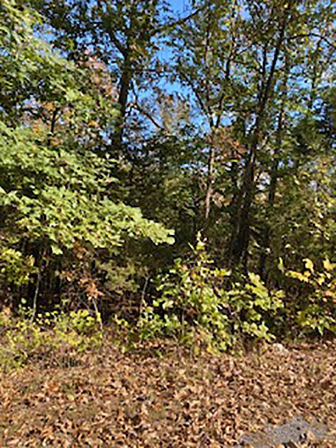Photo 2 - Vacant Land for sale –   Tonto   Cherokee Village, AR